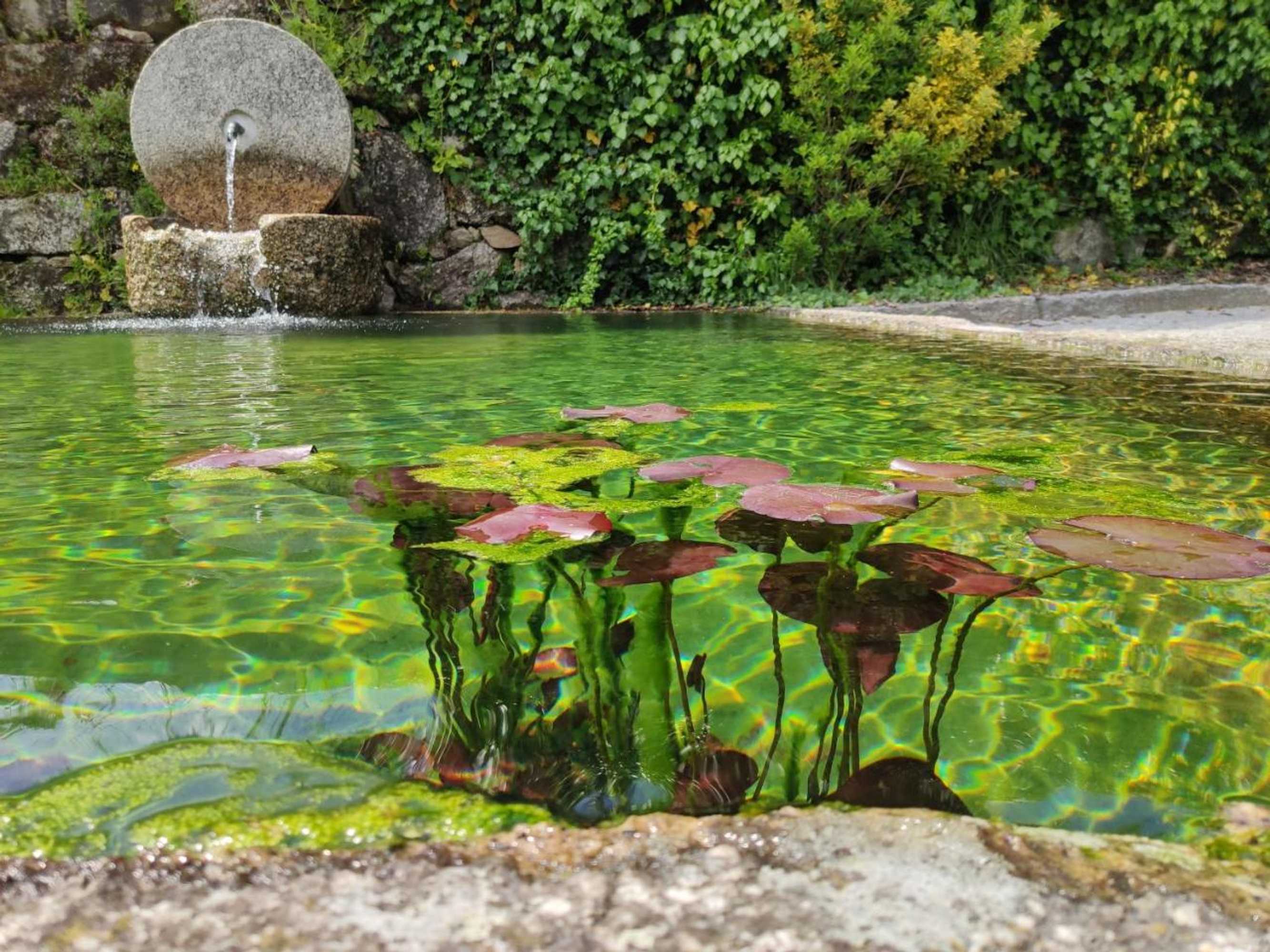 Gift card for Rilhadas Casas de Campo