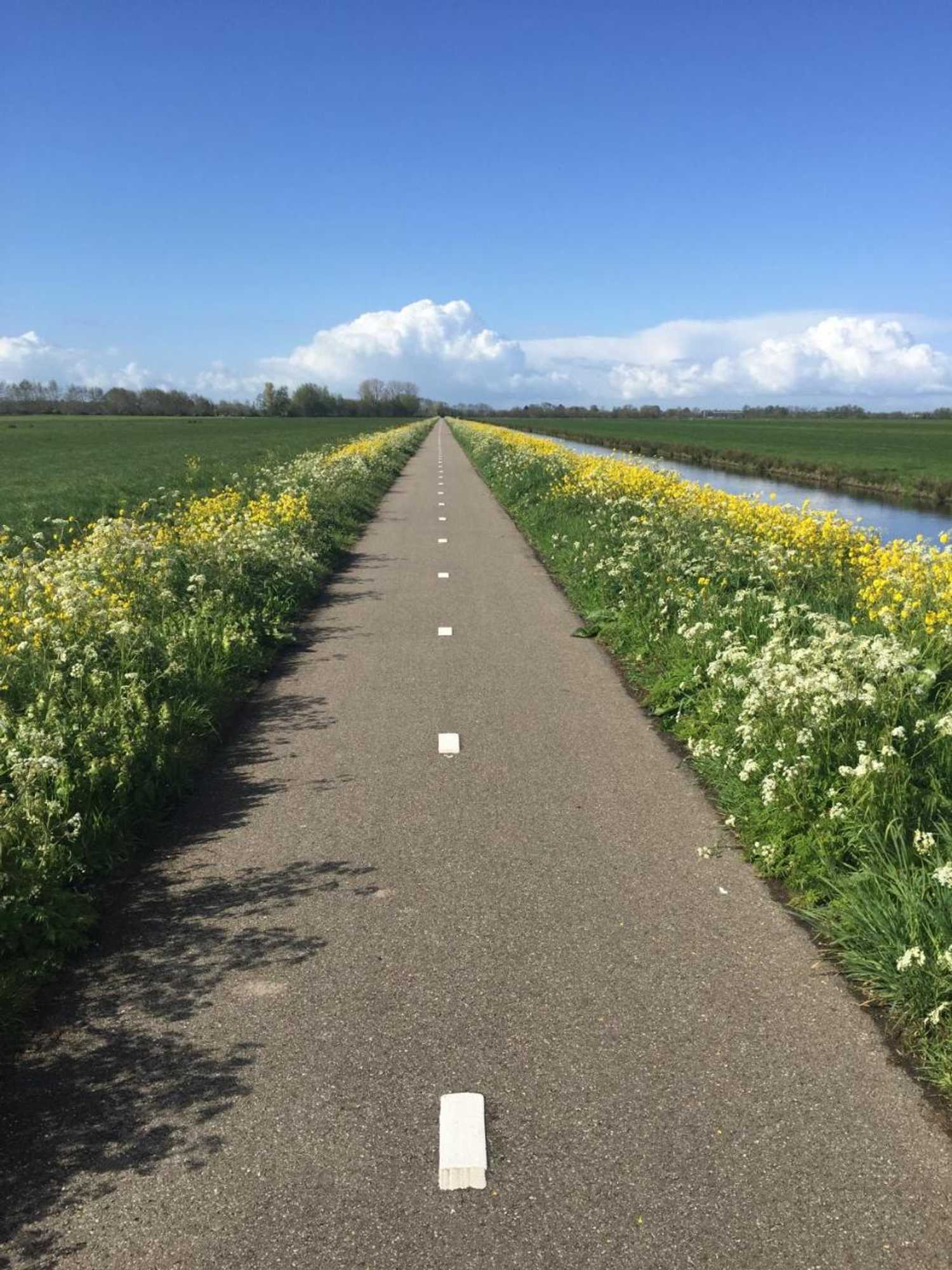 Gift card for Droomgaerd