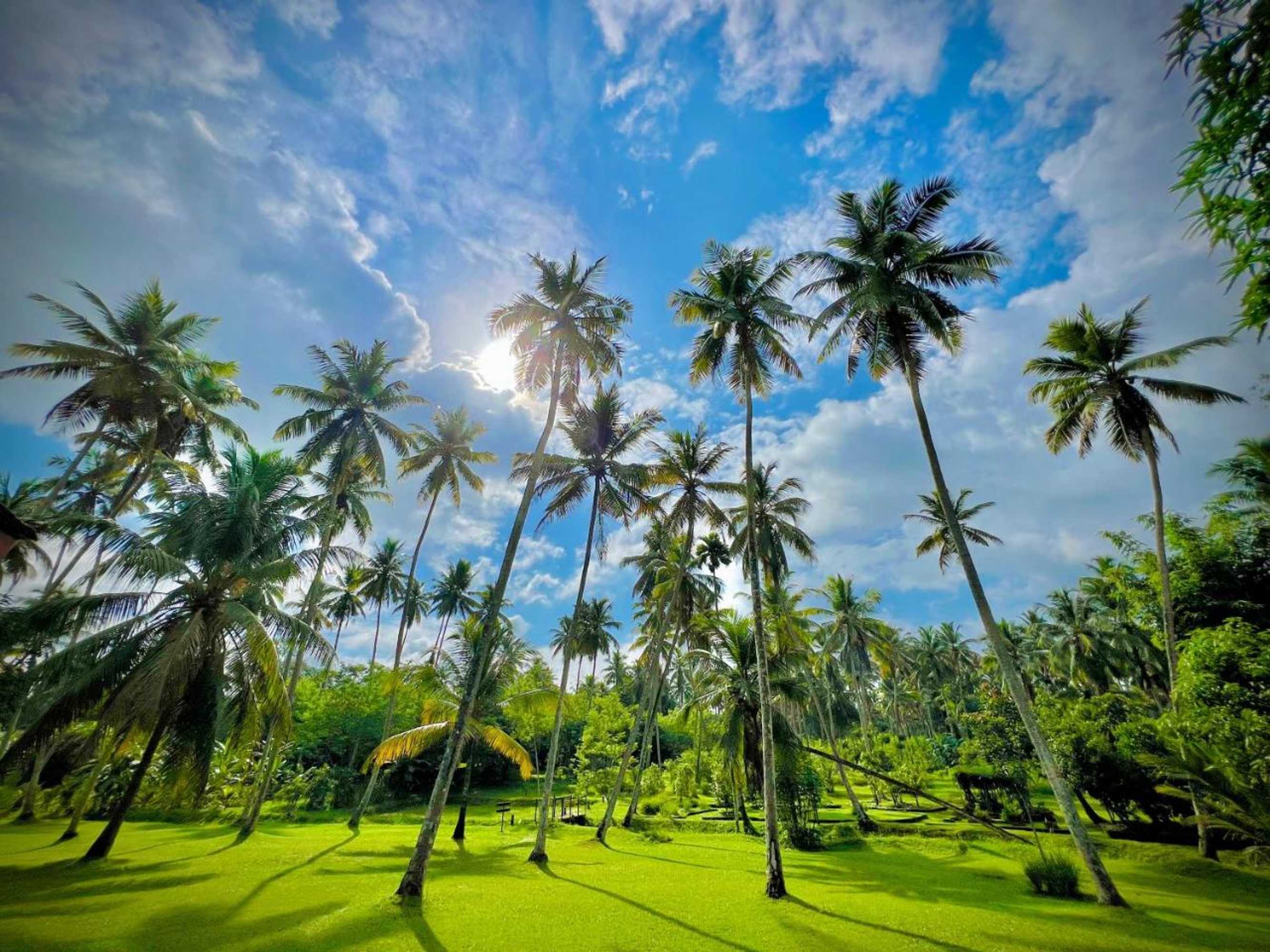 Gift card for Ambarella Lodge - Katunayake Gift card for Ambarella Lodge - Katunayake