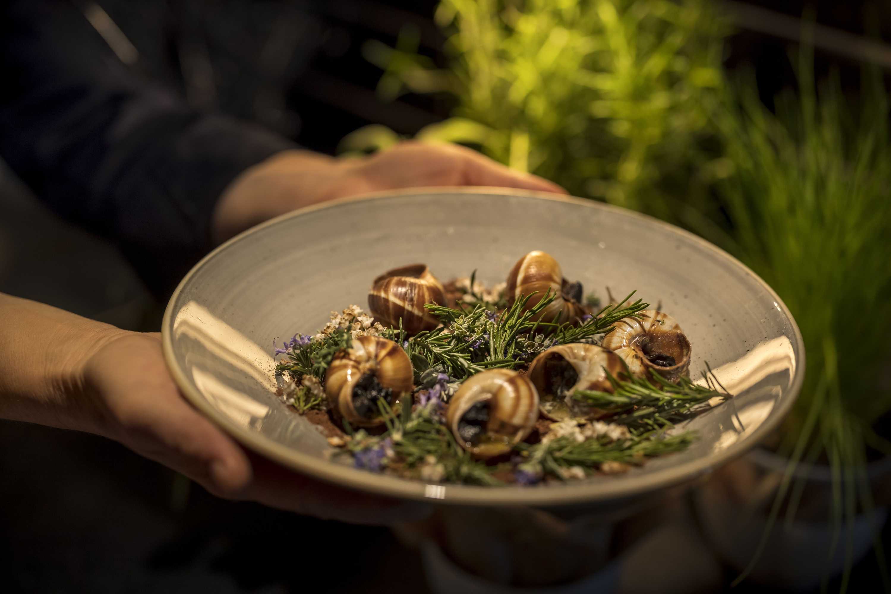 Gift card for Adriatic Hotel by Maistra Collection Gift card for Adriatic Hotel by Maistra Collection