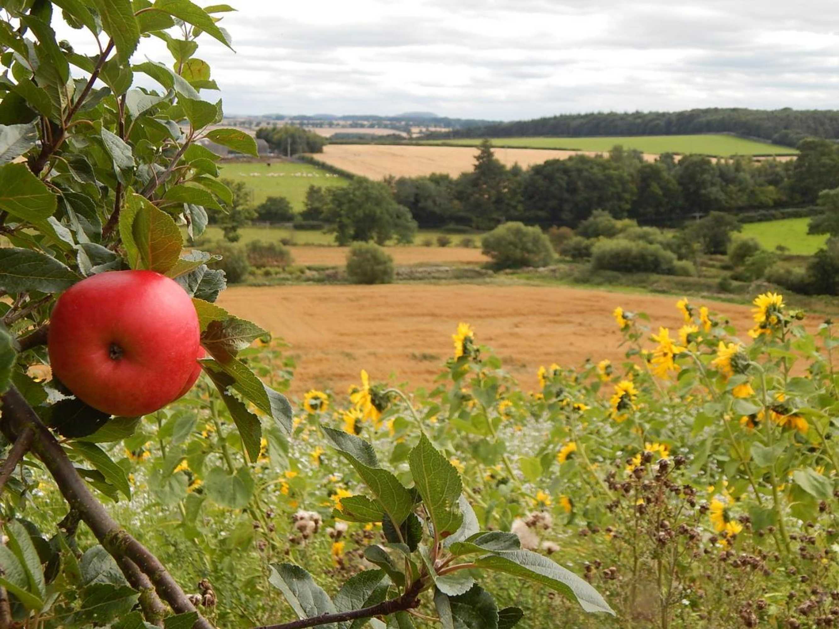 Gift card for Eden Hideaway