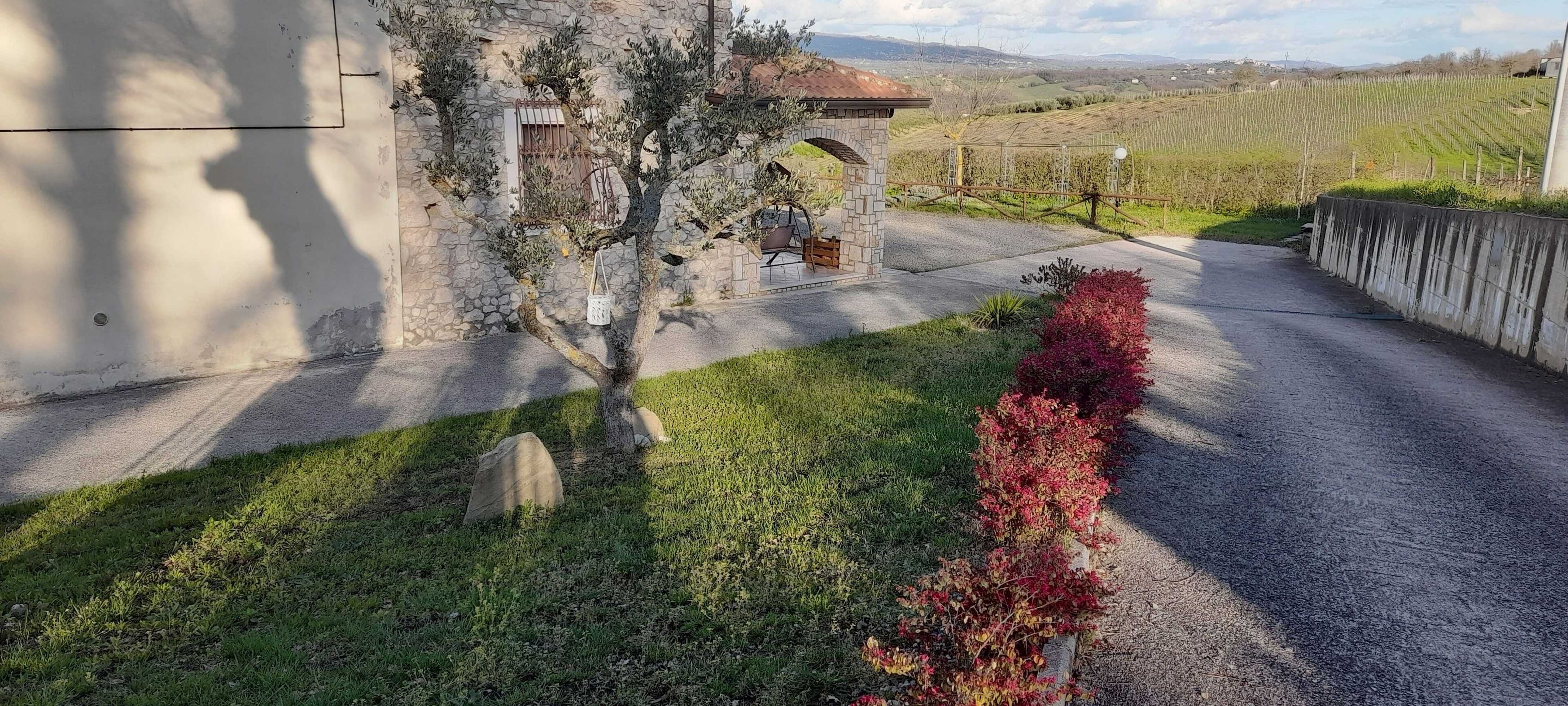 Gift card for Agriturismo Casale 1921 Gift card for Agriturismo Casale 1921