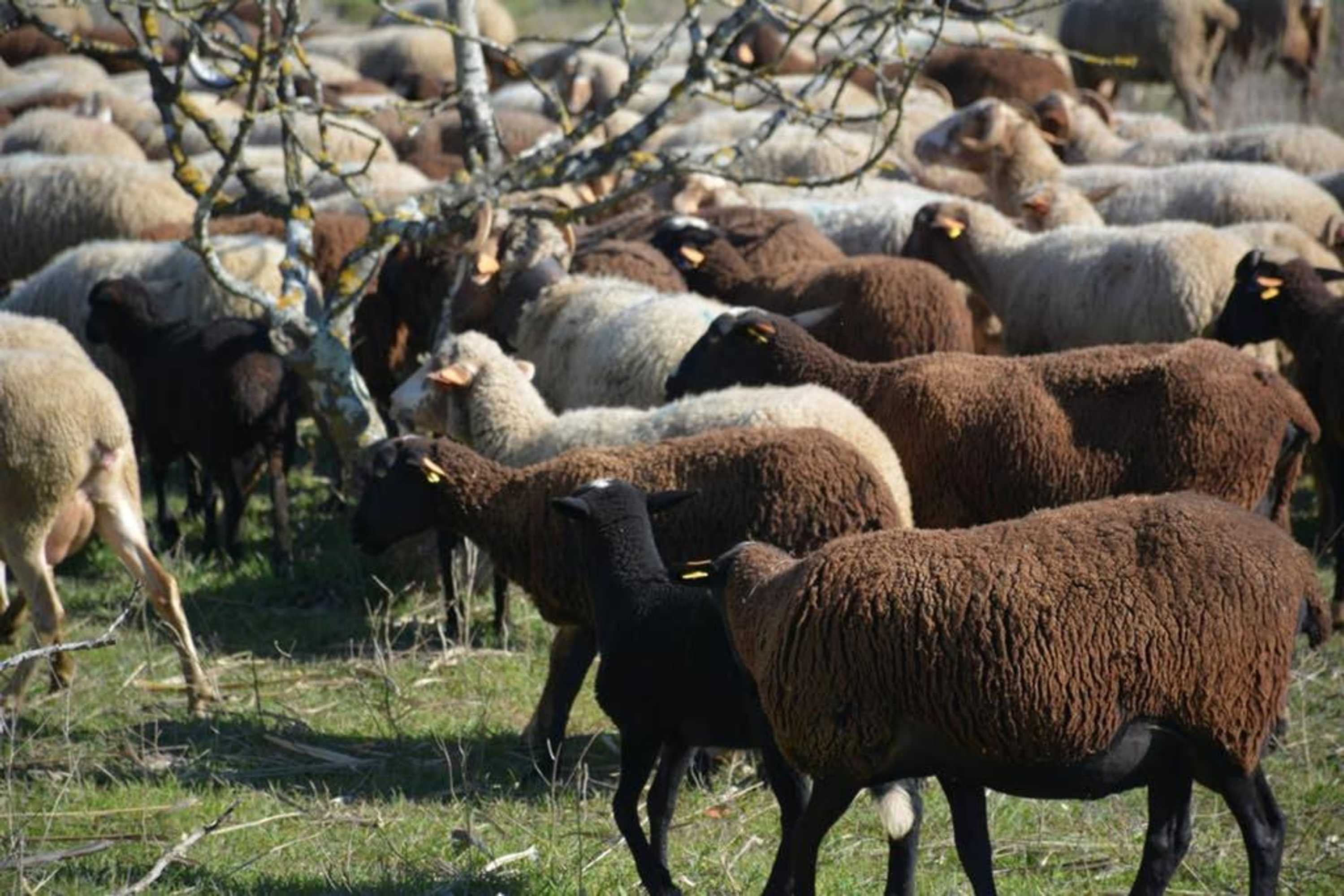 Gift card for Páteo da Memória Casa do Pintor