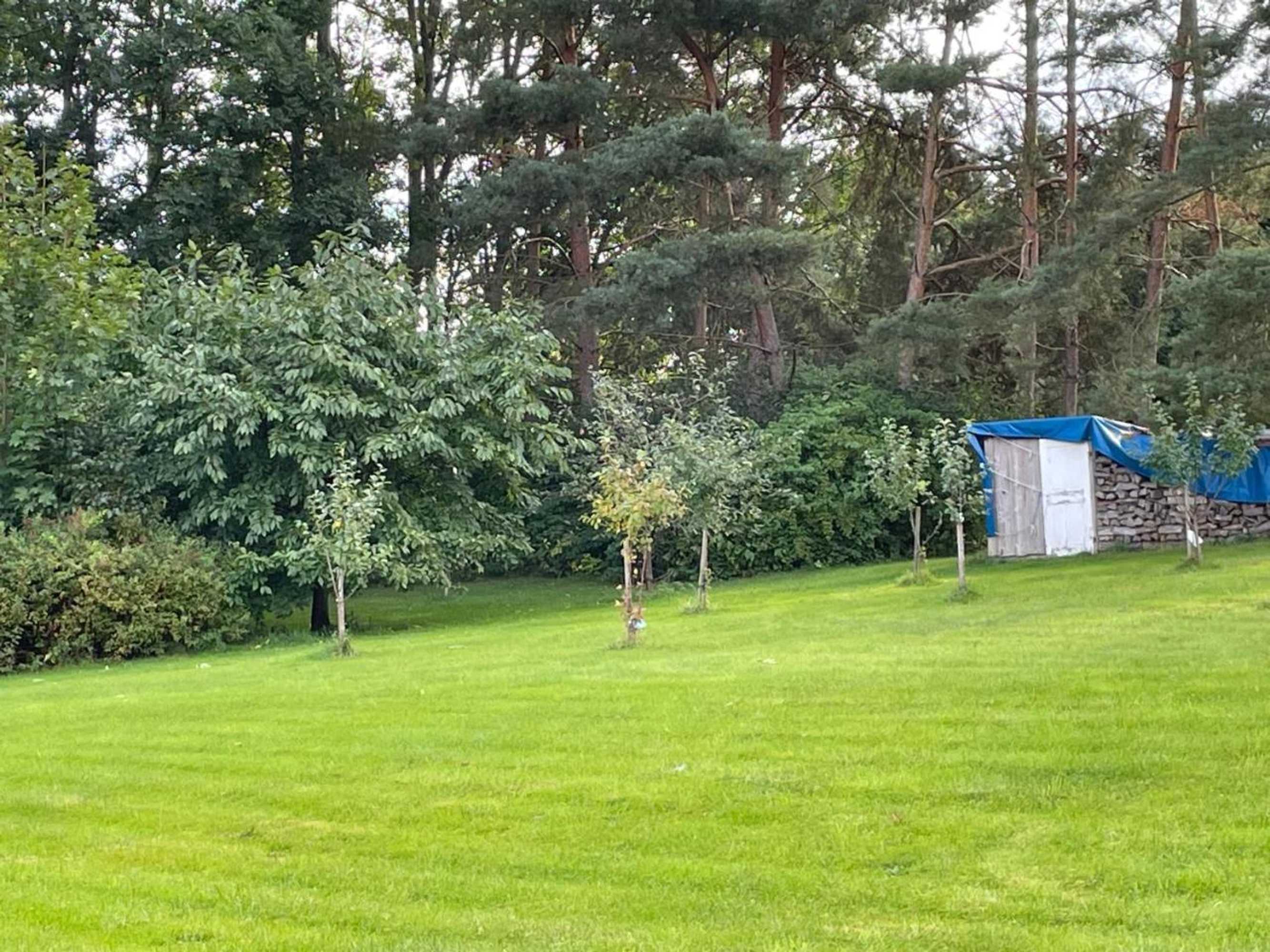 Gift card for „frische Quelle“ Jonsdorf