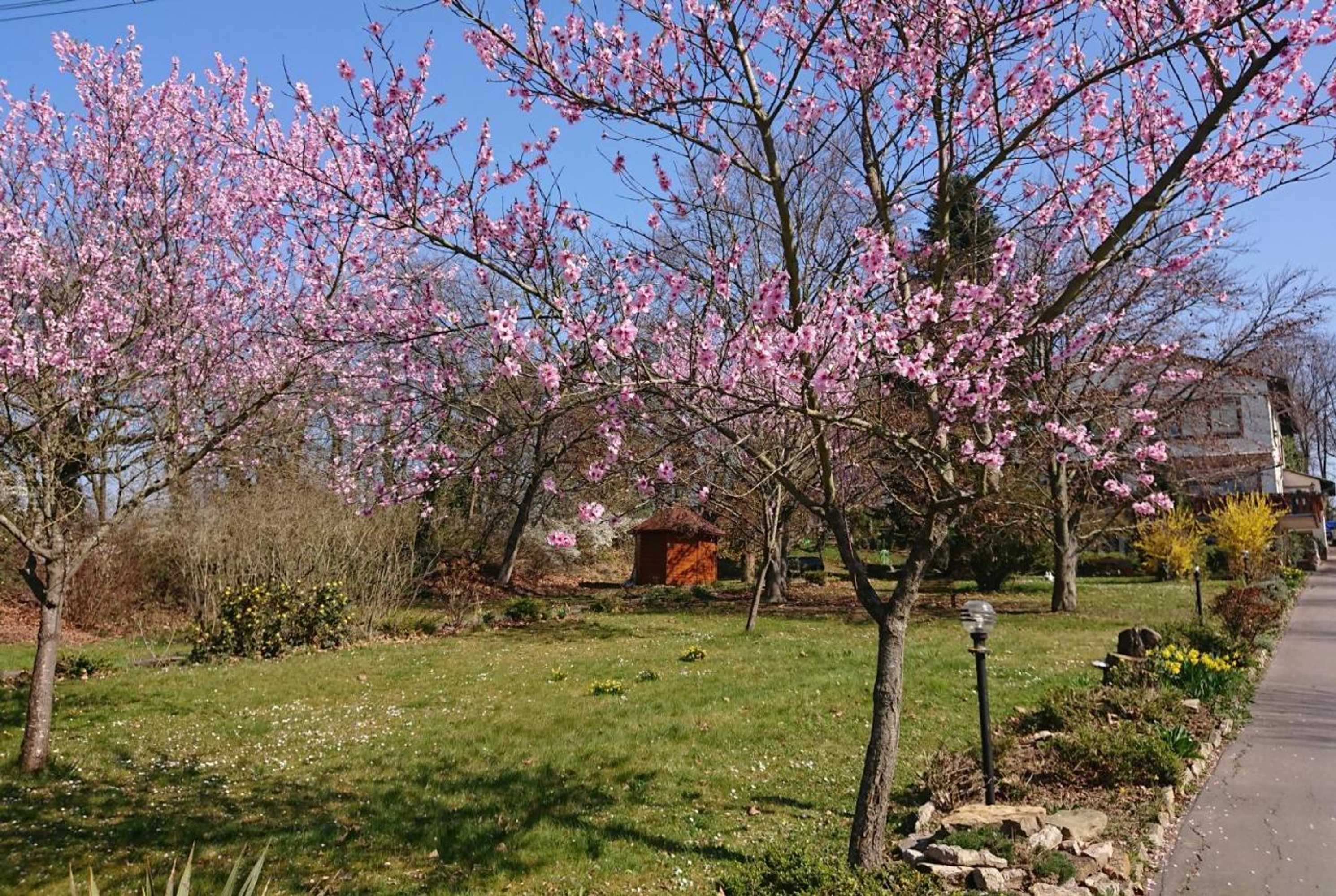 Gift card for Landgasthof Gänsberg