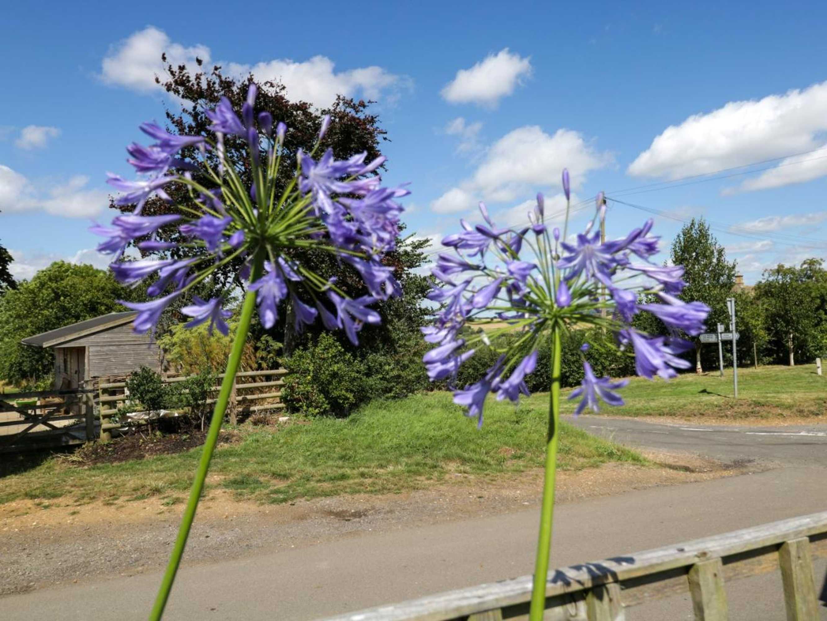 Gift card for Henmarsh Cottage