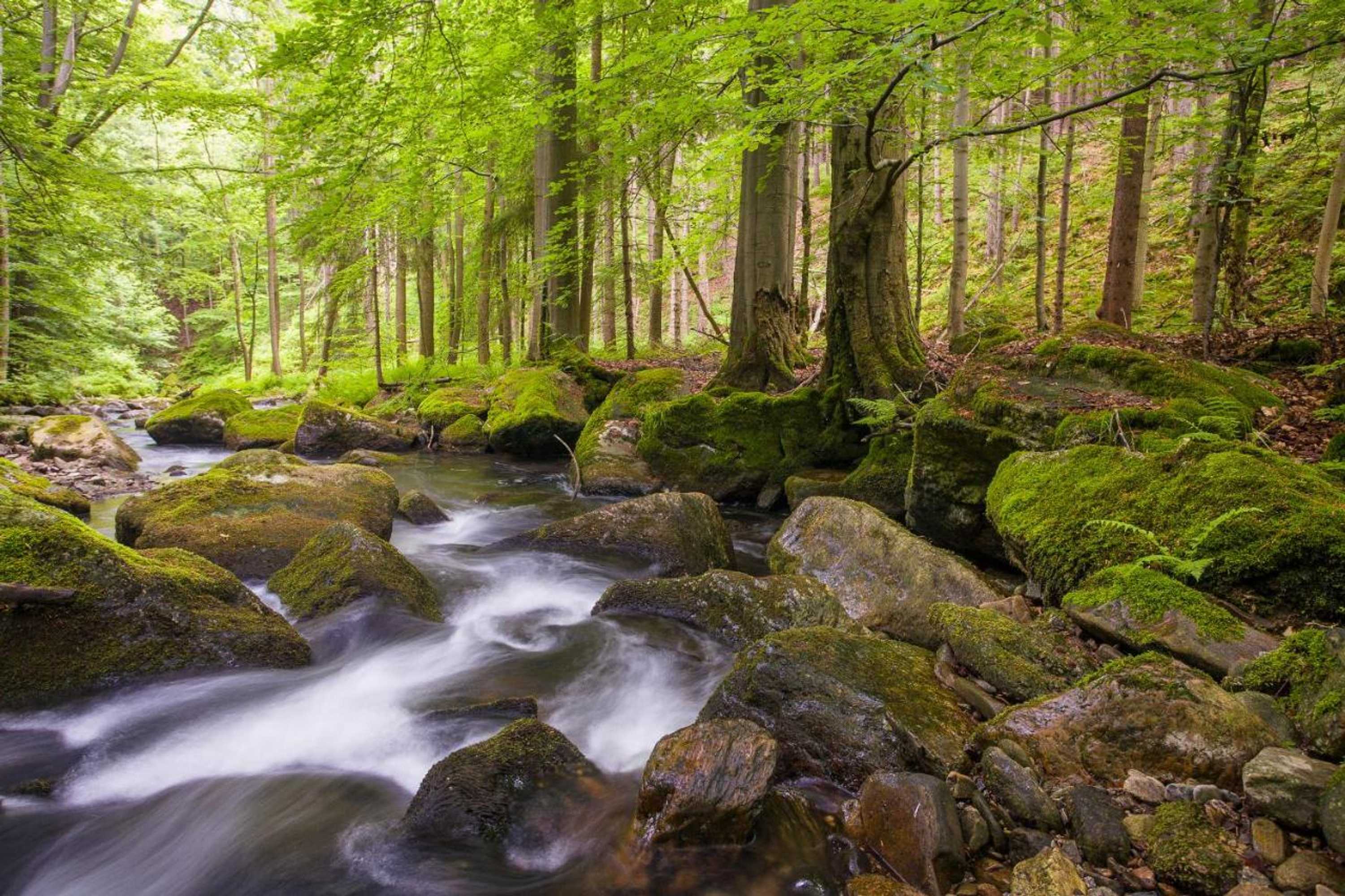 Gift card for Landhotel Zum Hammer