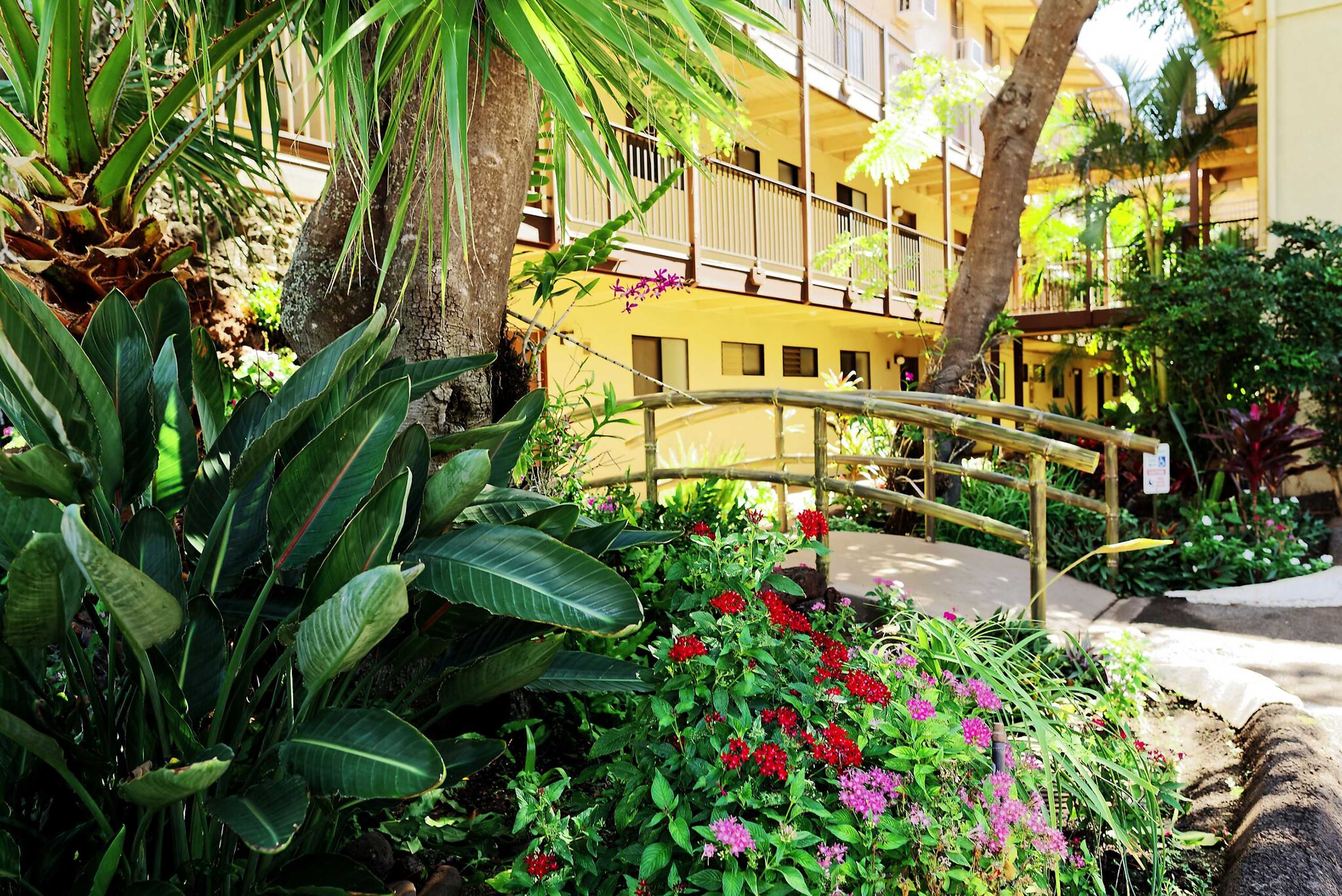 Gift card for Hono Kai A10