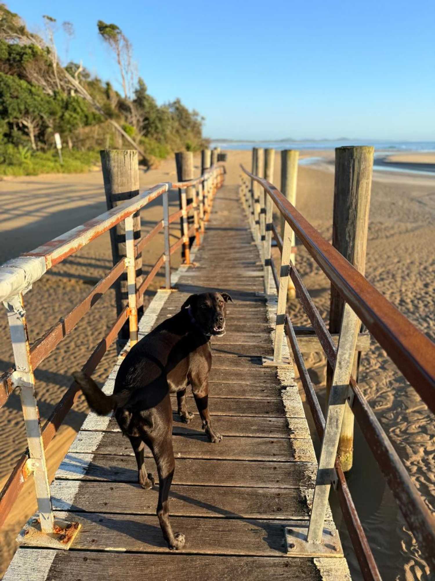 Gift card for The Beach Arrawarra