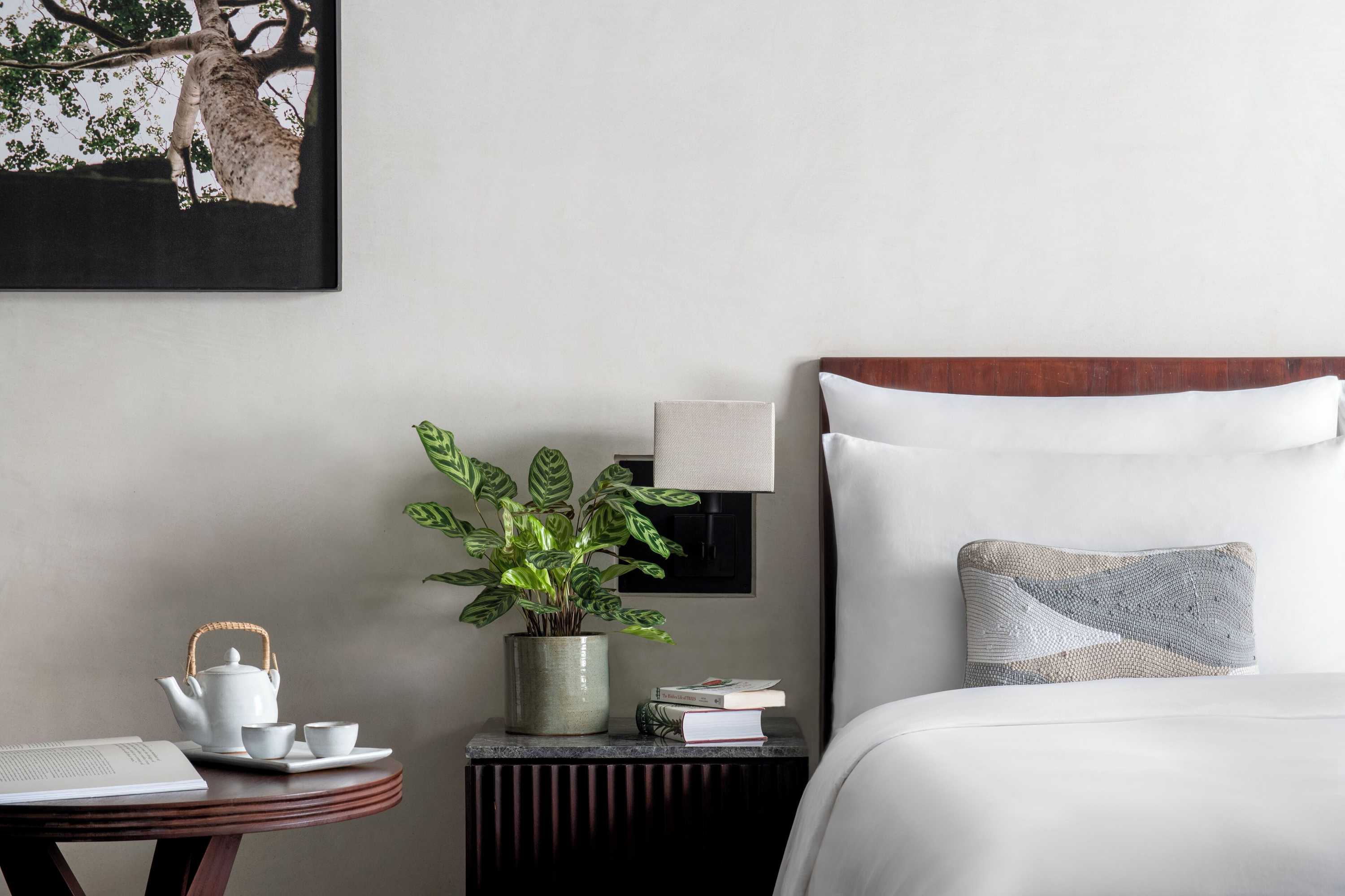 Gift card for Treeline Urban Resort