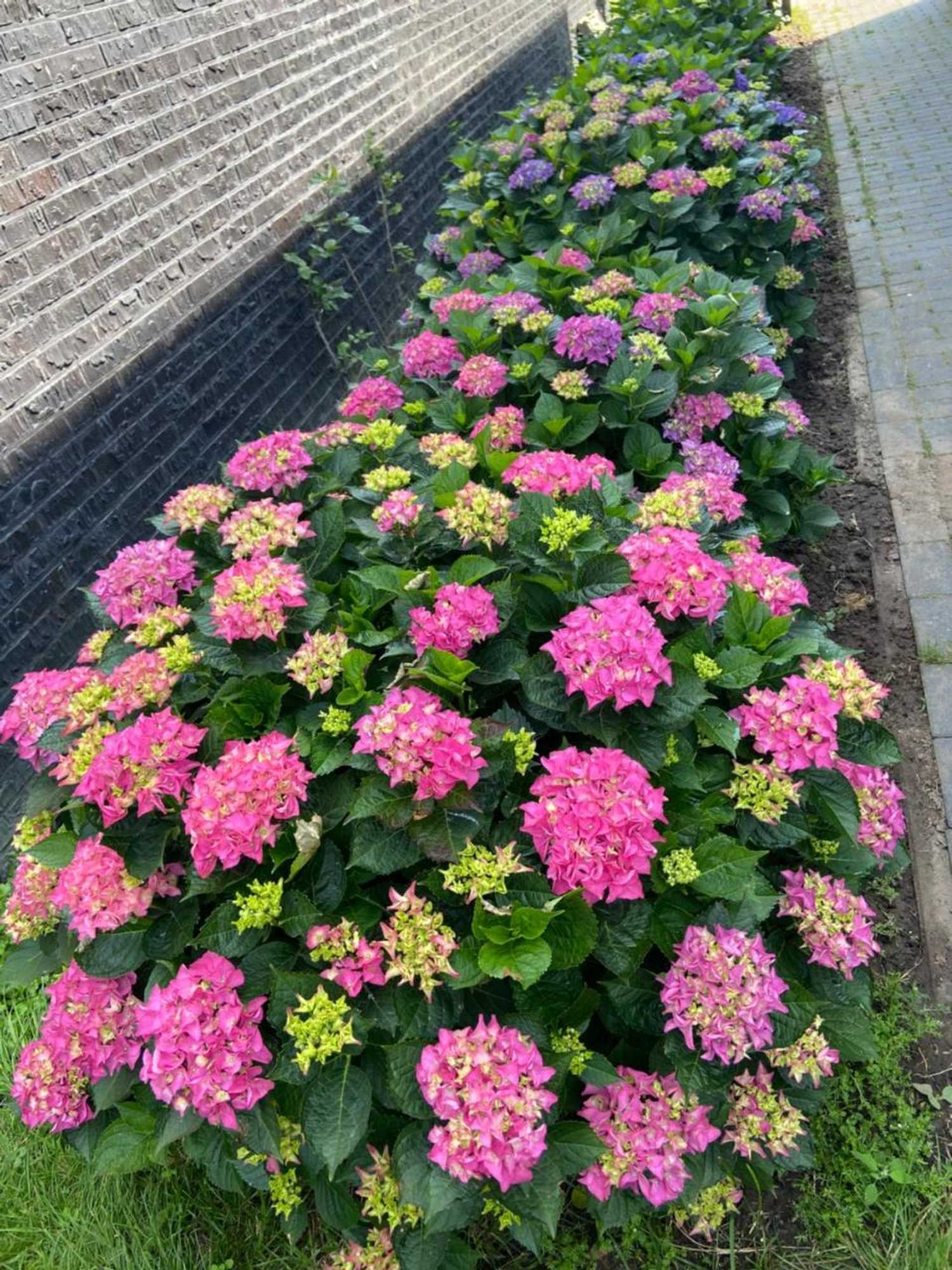 Gift card for Nancy in Holland