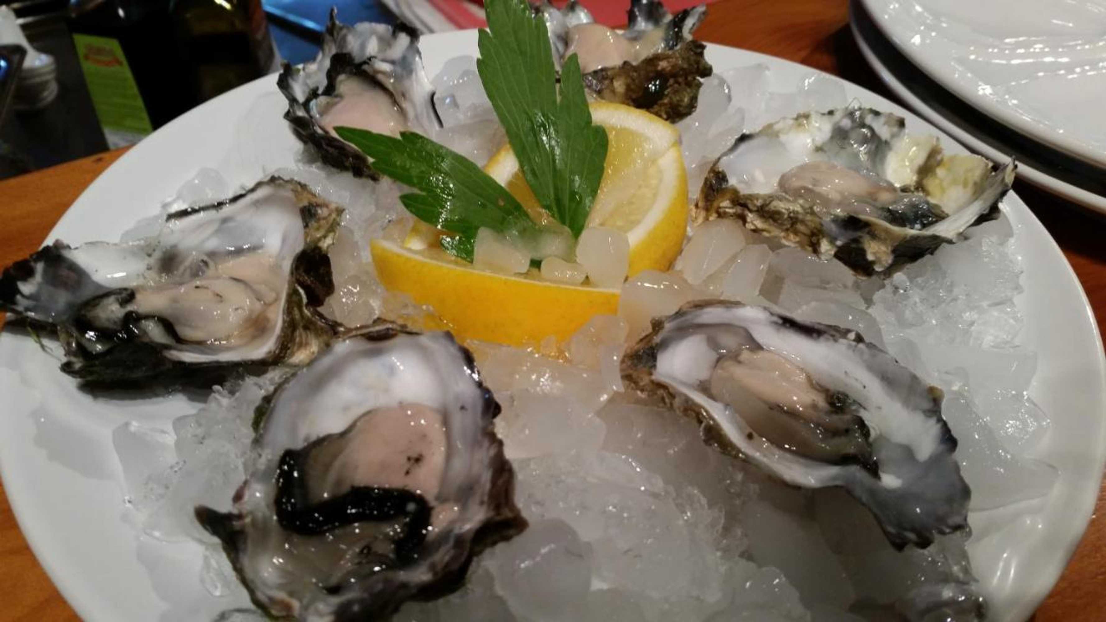 Gift card for Riverside Homestead Waitangi