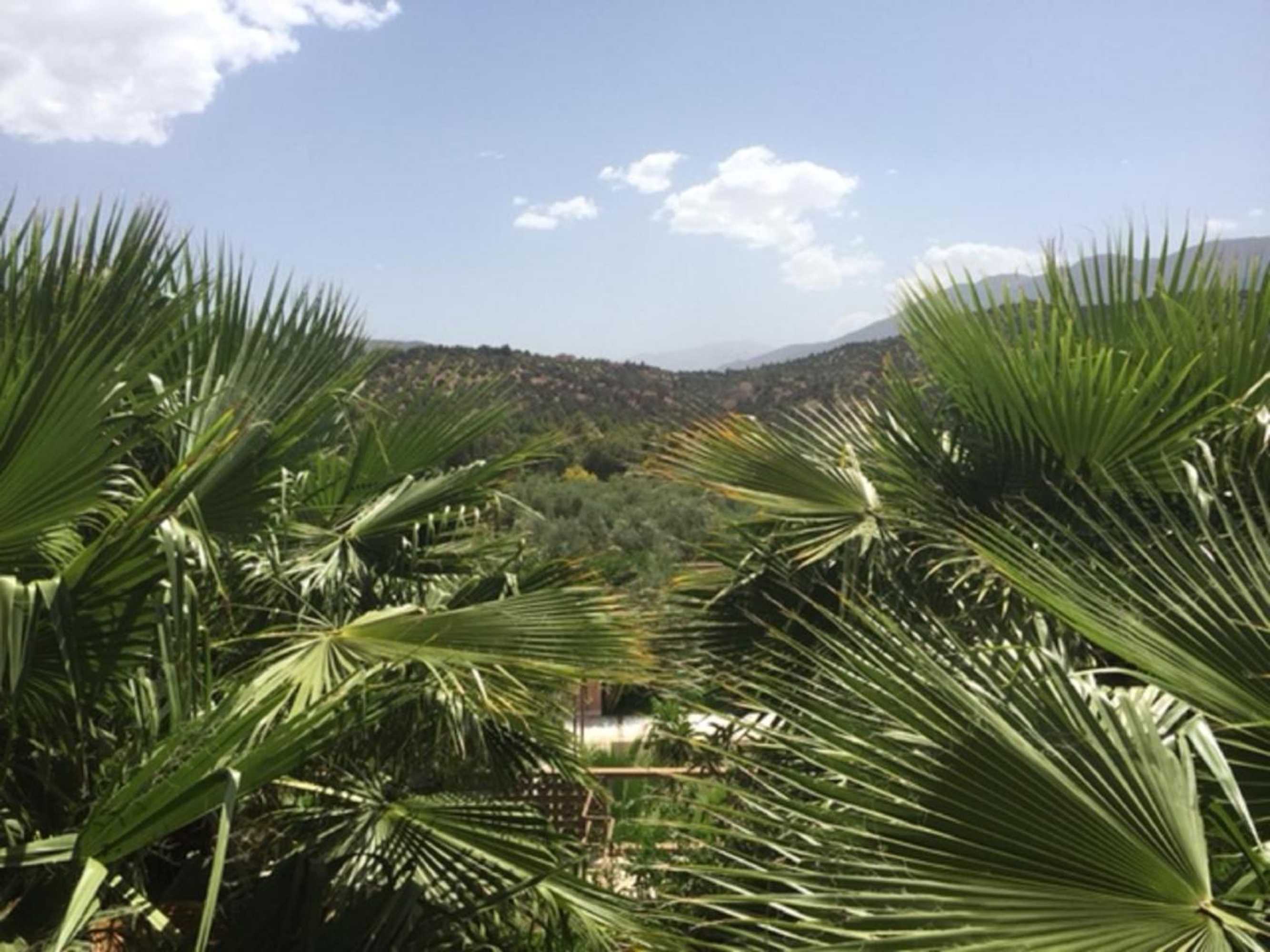 Gift card for Domaine Malika - Adults Only Gift card for Domaine Malika - Adults Only