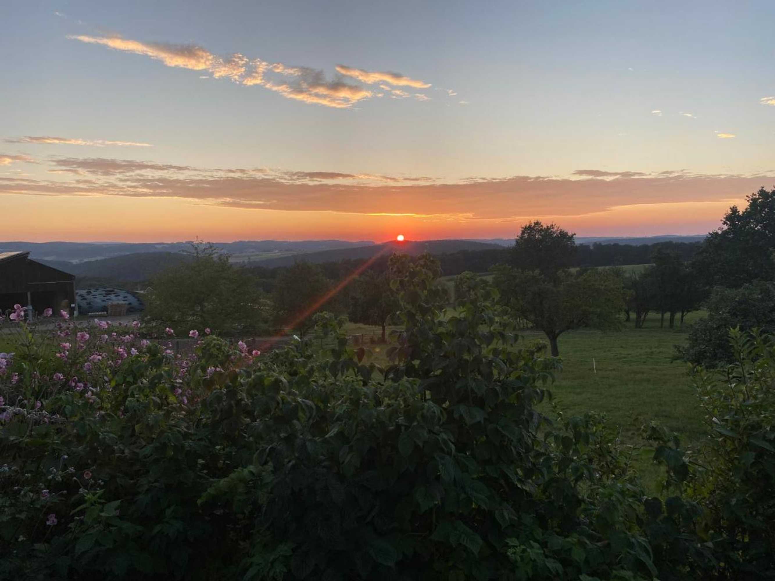 Gift card for Weber Landhaus