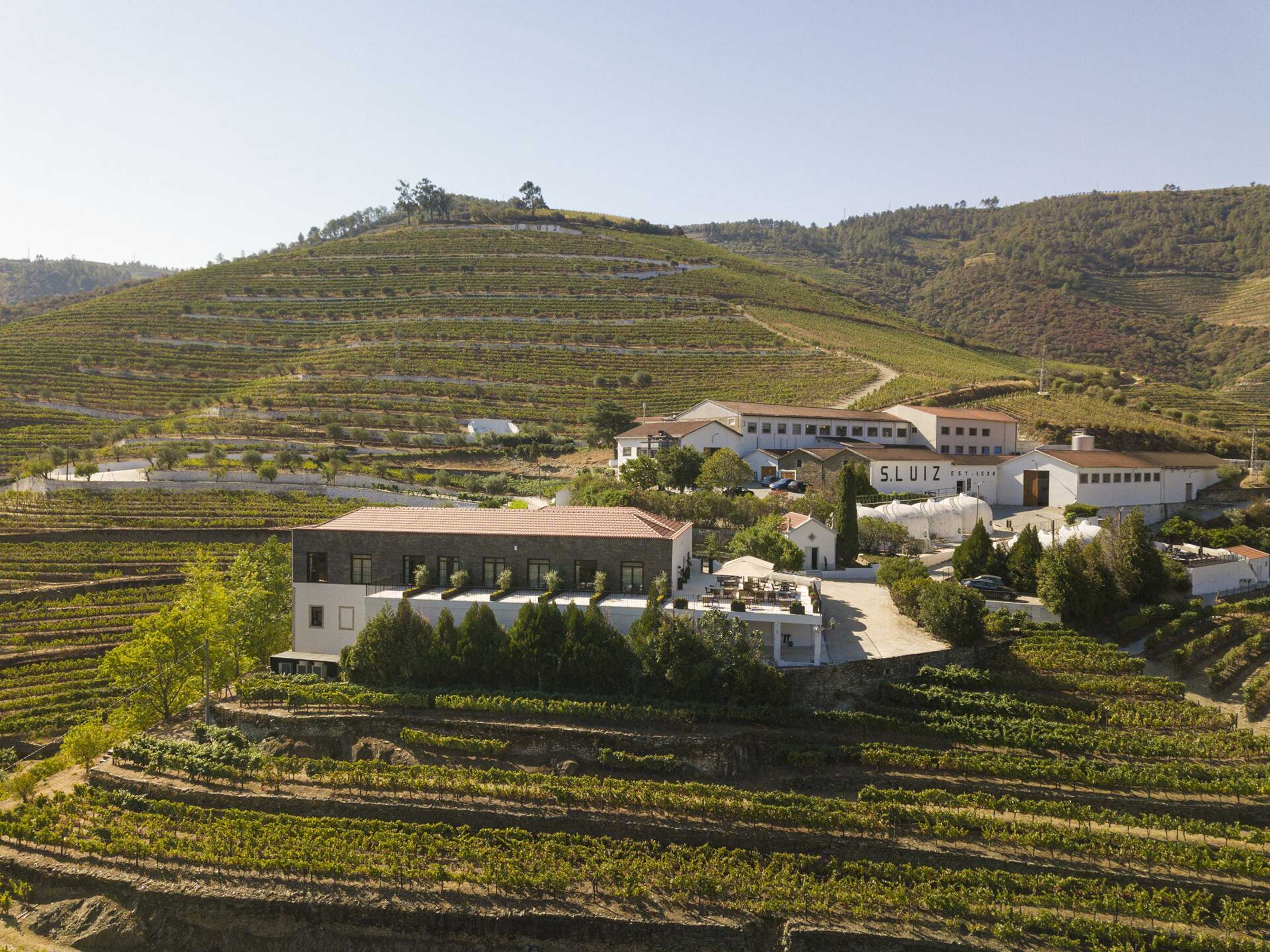 Gift card for Quinta de São Luiz The Vine House Gift card for Quinta de São Luiz The Vine House