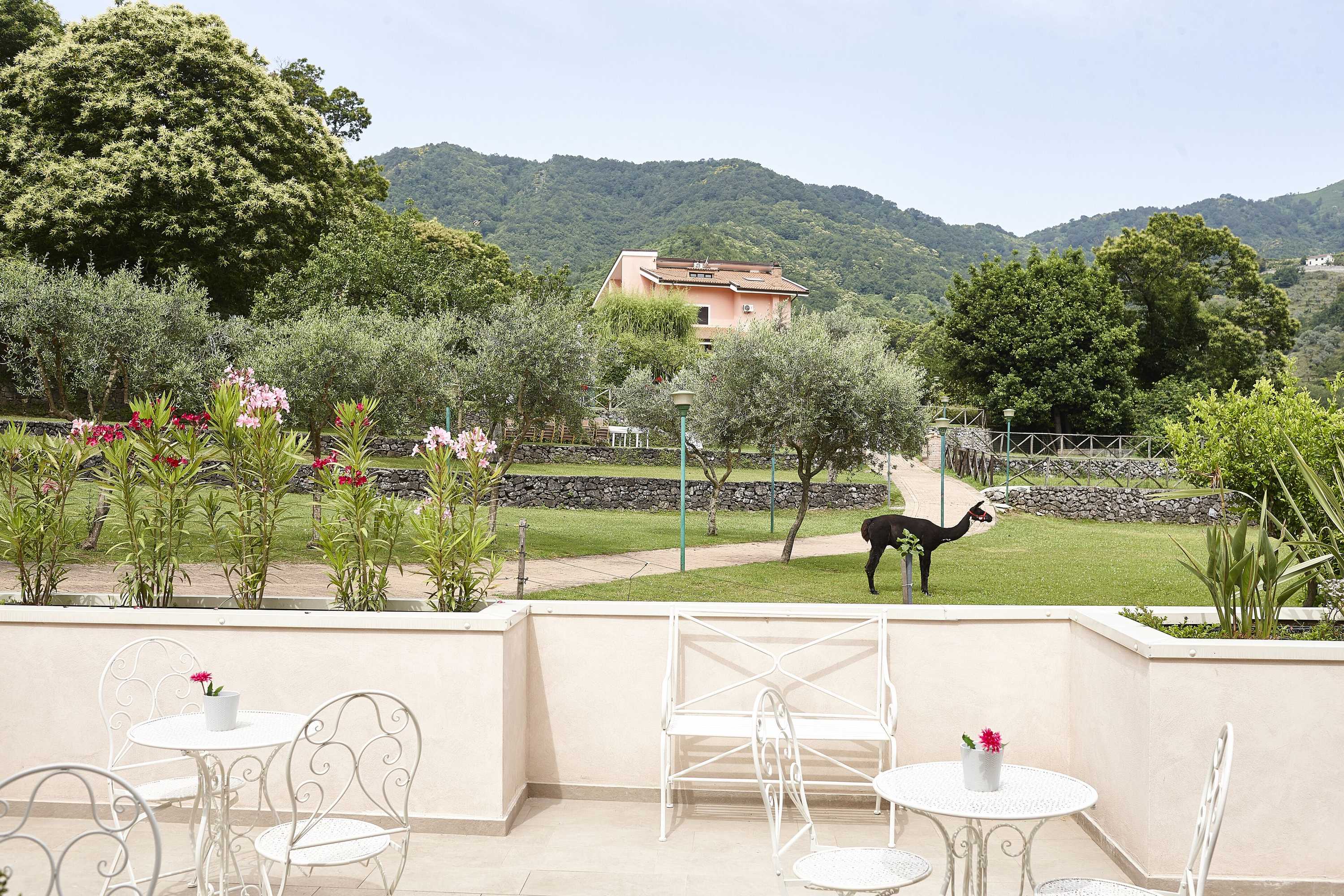 Gift card for Villapiana Country House Gift card for Villapiana Country House