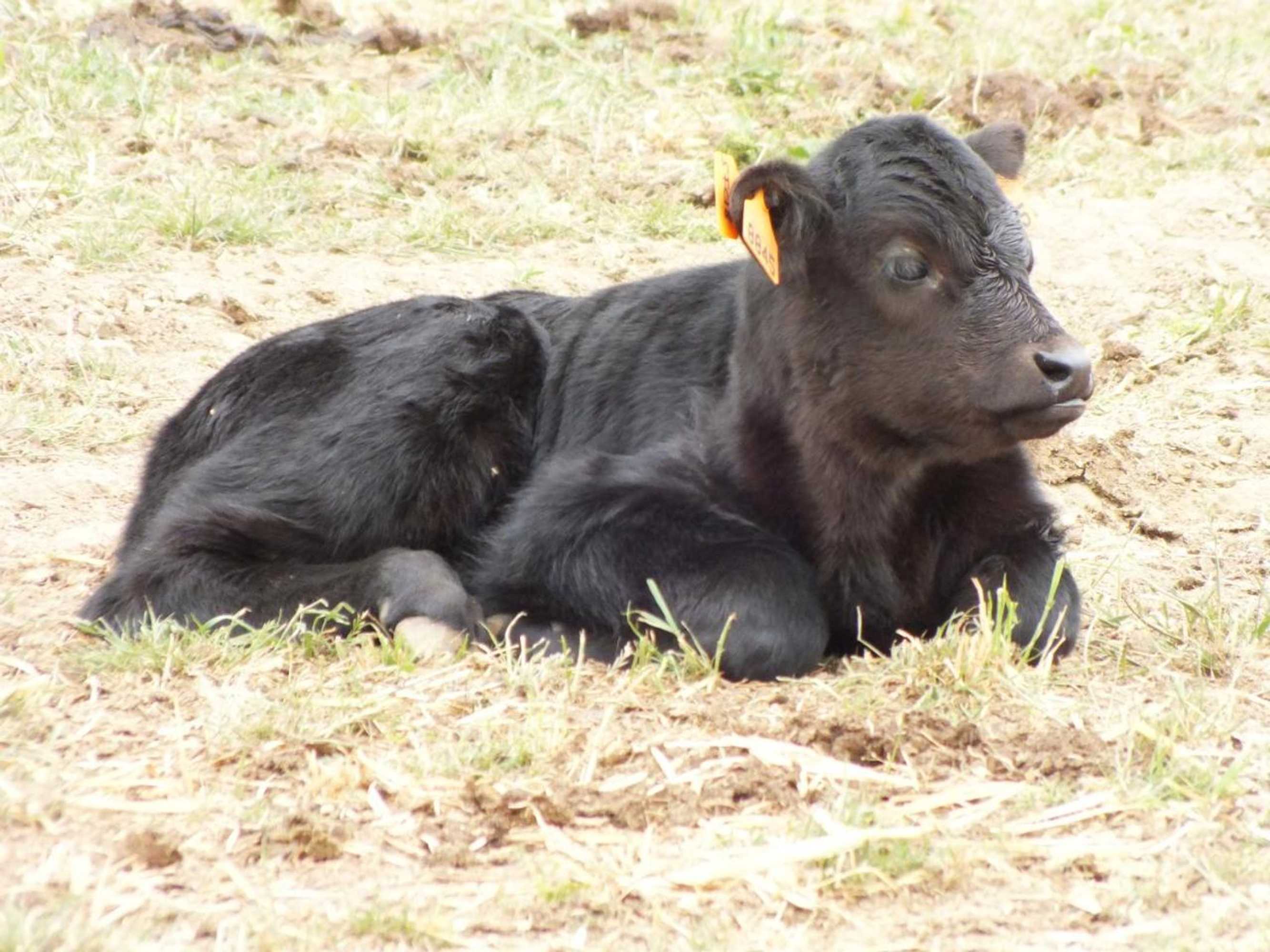 Gift card for Quinta da Gafaria