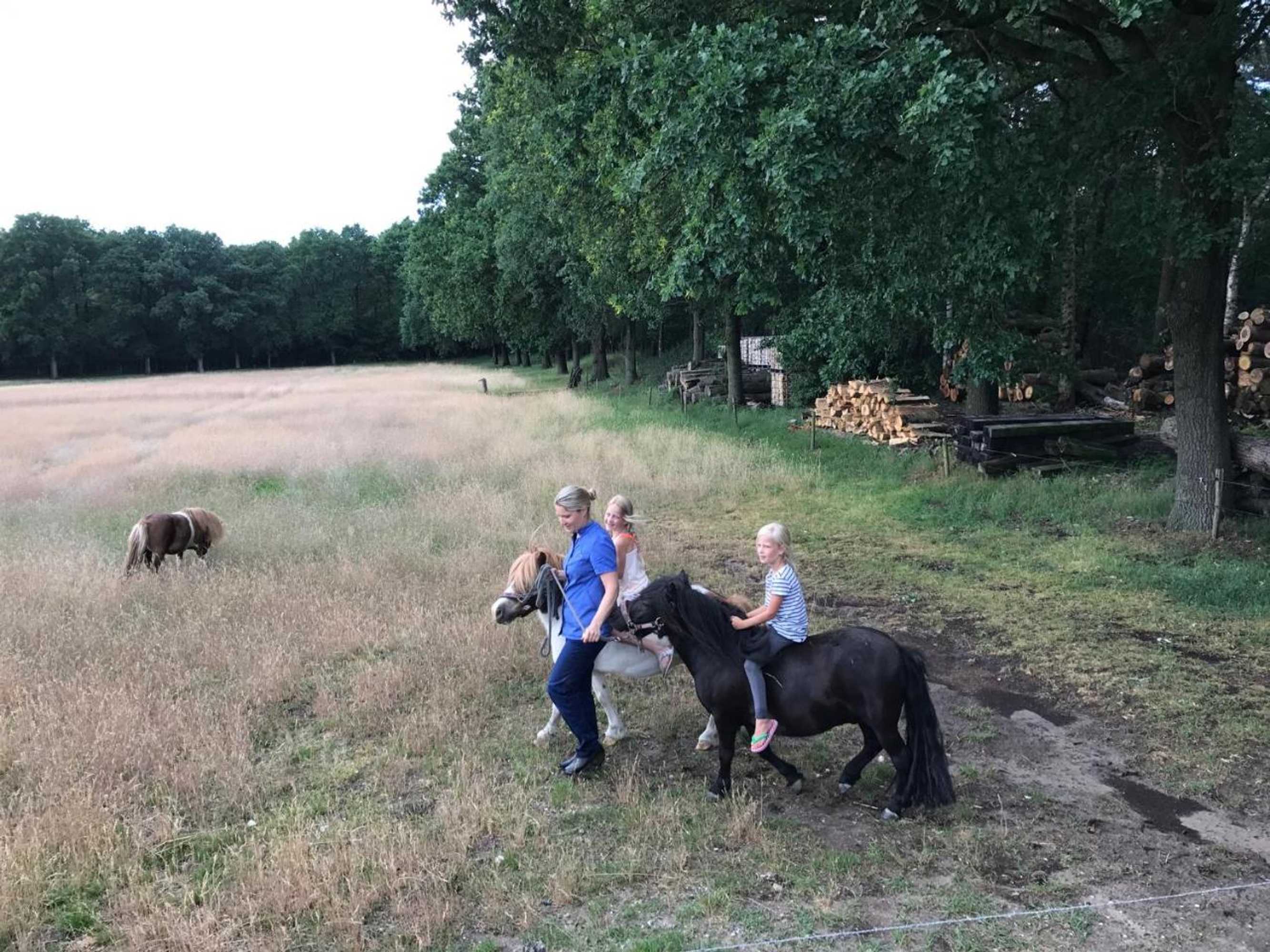 Gift card for Bed & Breakfast de Zandhoef