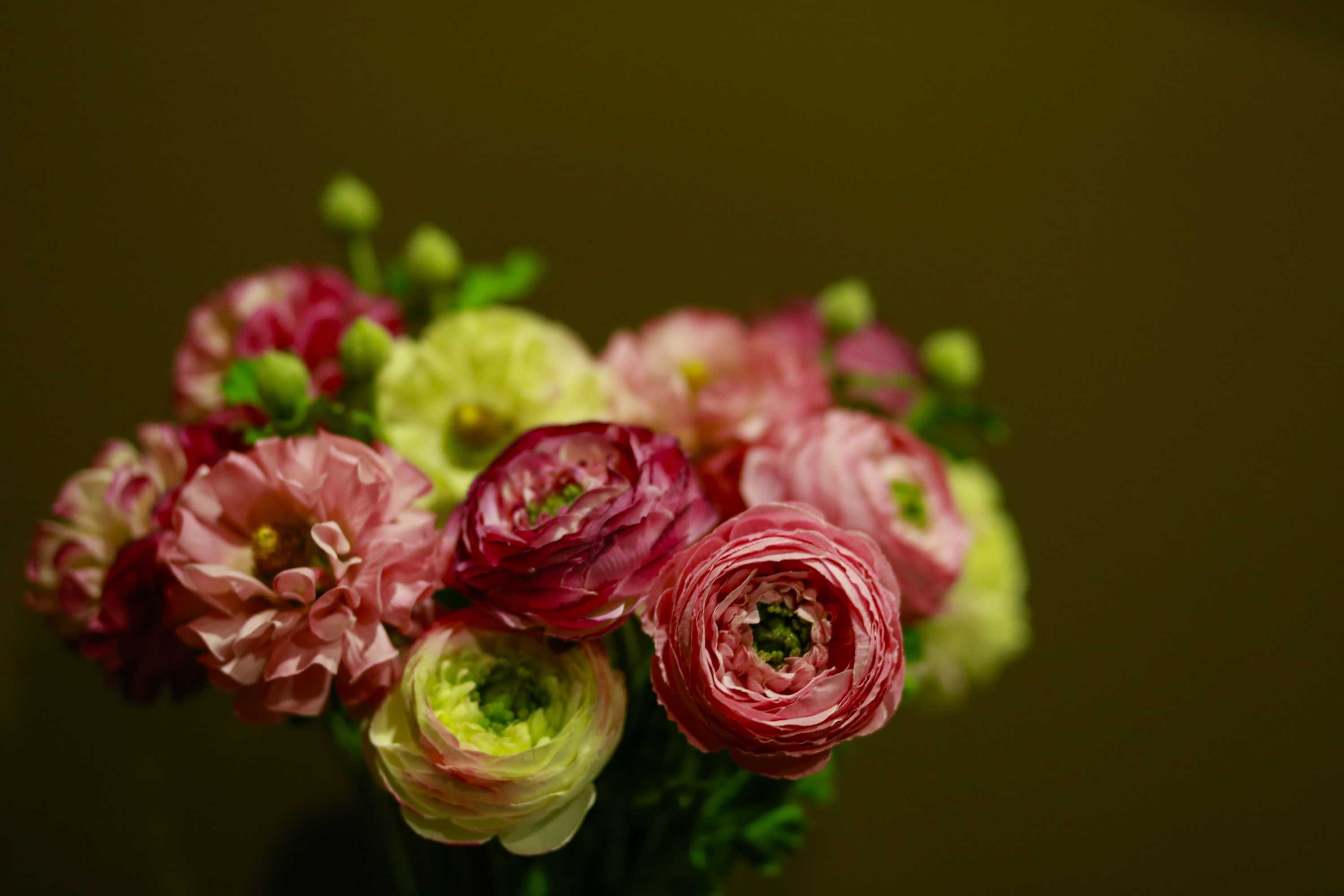 Gift card for Solar Dos Cáceres