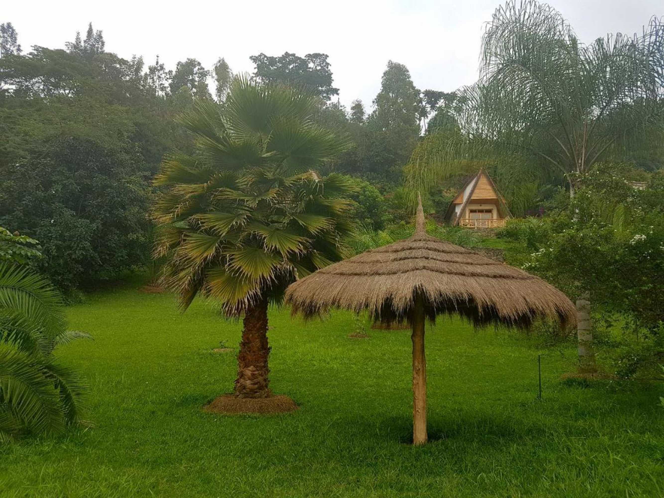 Gift card for Paradise Kivu Gift card for Paradise Kivu