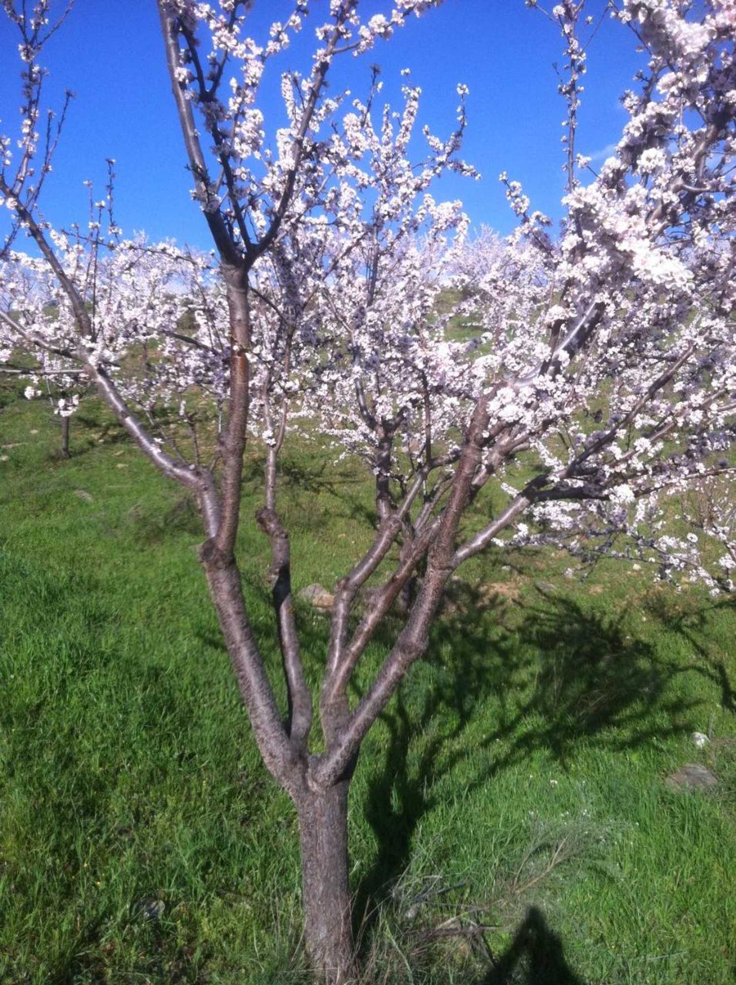 Gift card for Quintas do Valbom e Cuco