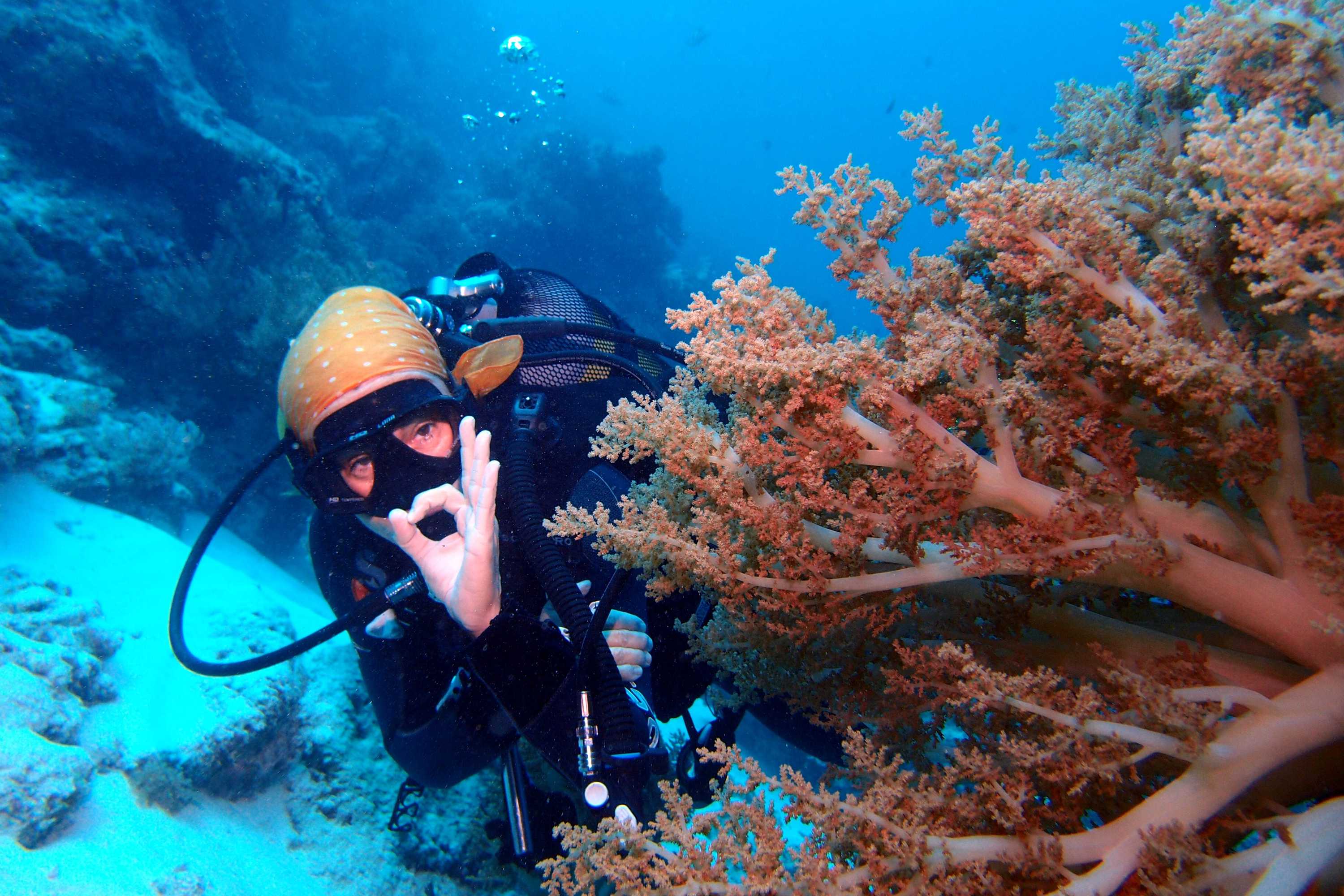 Gift card for Sunshine Marine Lodge