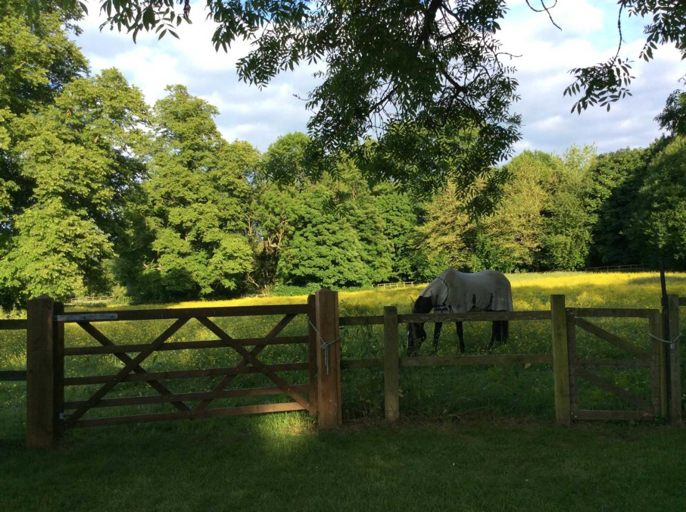 Gift card for Cobblestones Bed & Breakfast