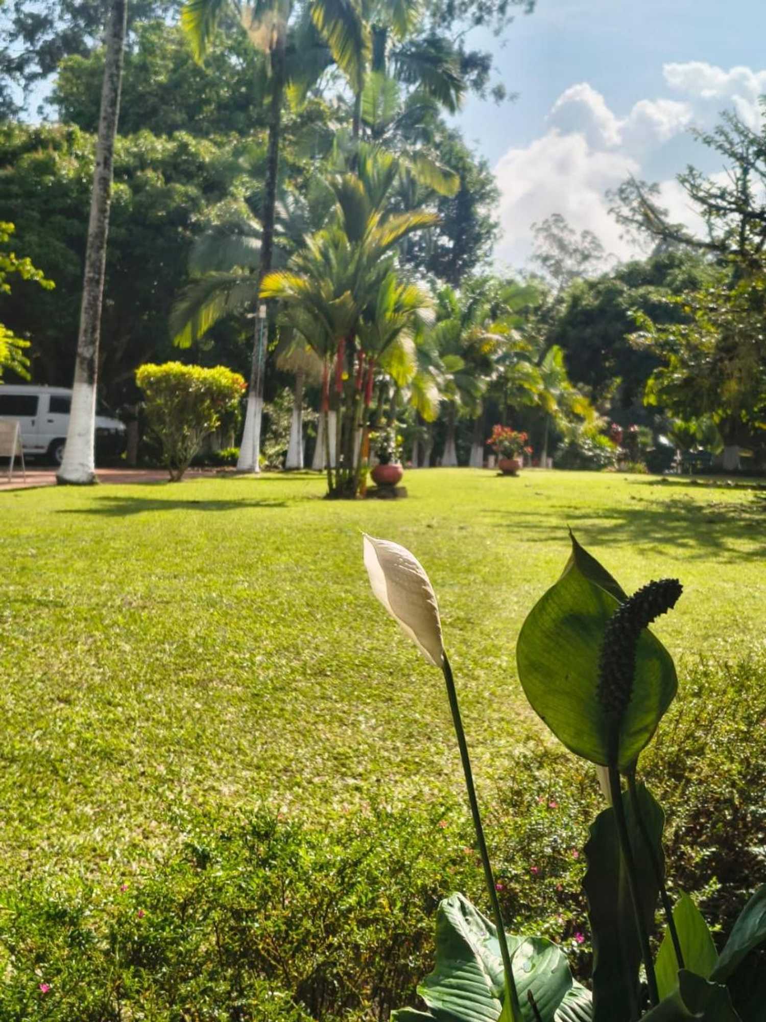 Gift card for Hotel Pueblito Cafetero