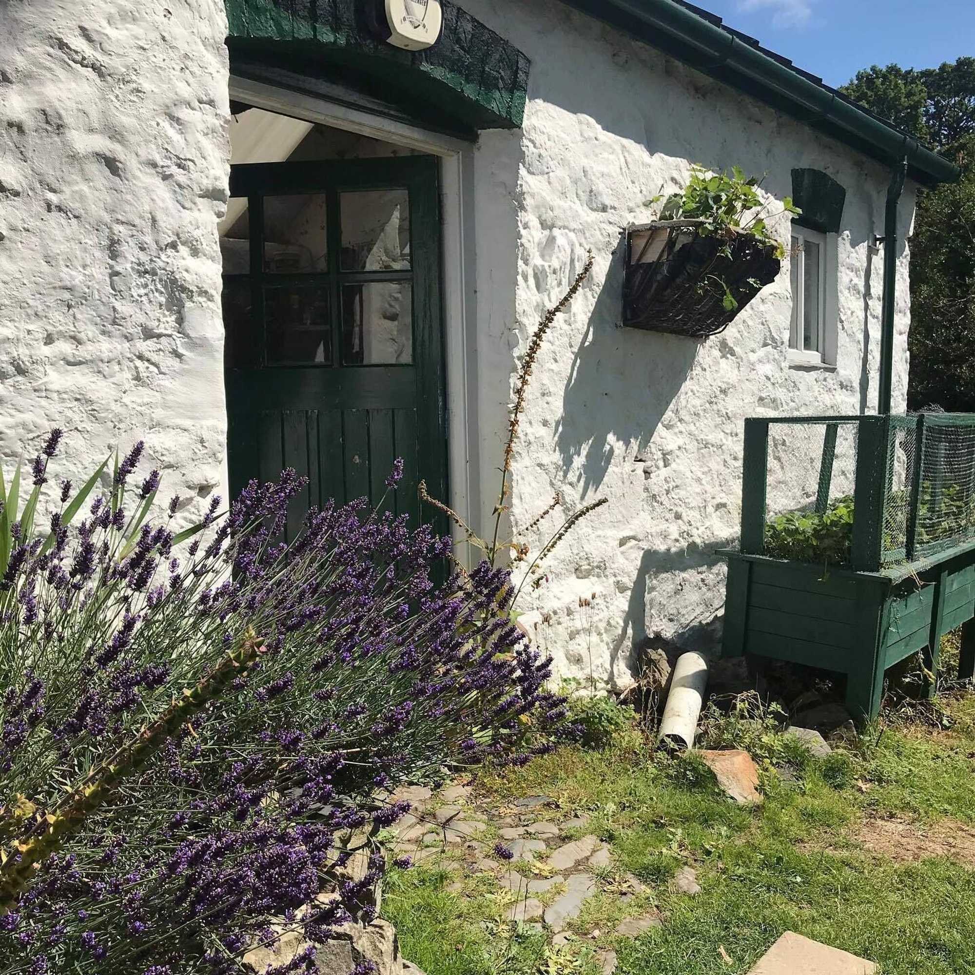 Gift card for Hapus Yurt - Two Beautiful Yurts And Barn Cottage Gift card for Hapus Yurt - Two Beautiful Yurts And Barn Cottage