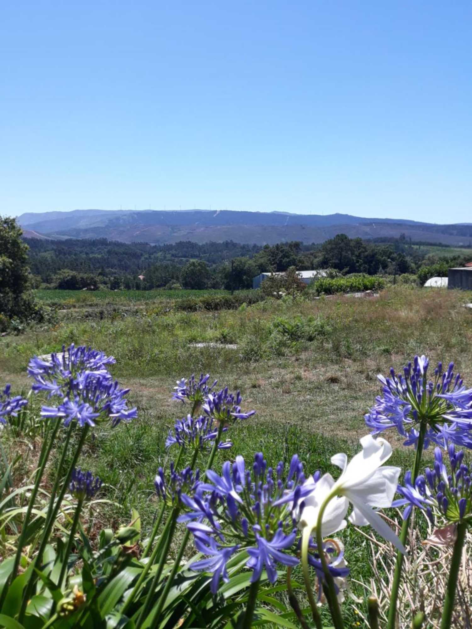 Gift card for Pensão Repouso do Peregrino