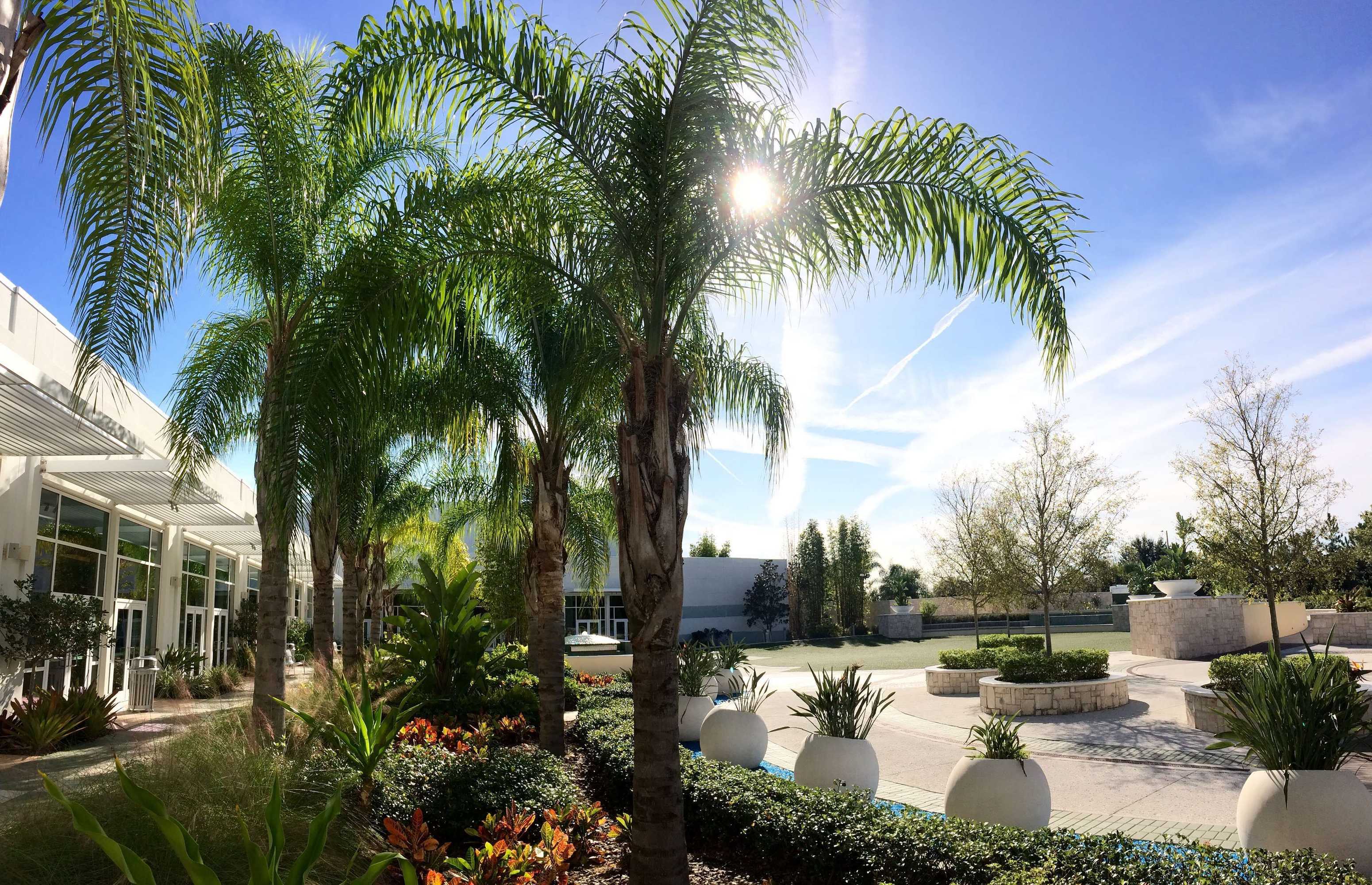 Gift card for Hilton Orlando