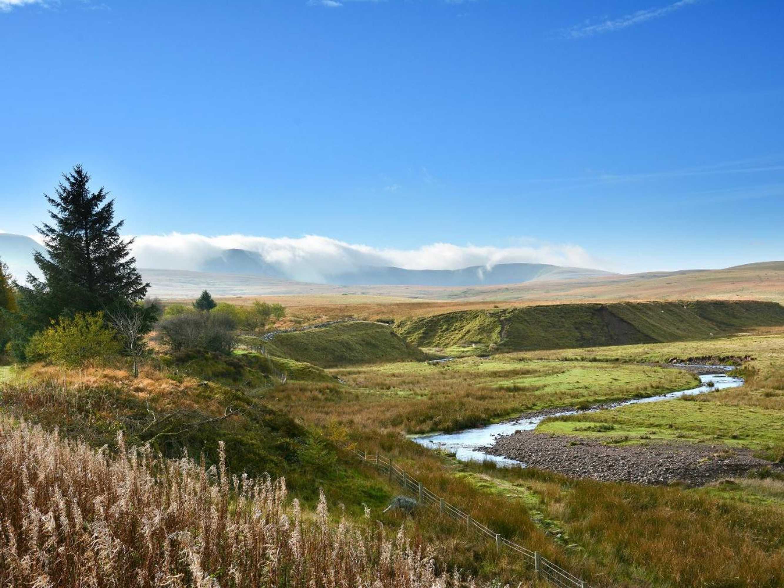 Gift card for Clearvewe