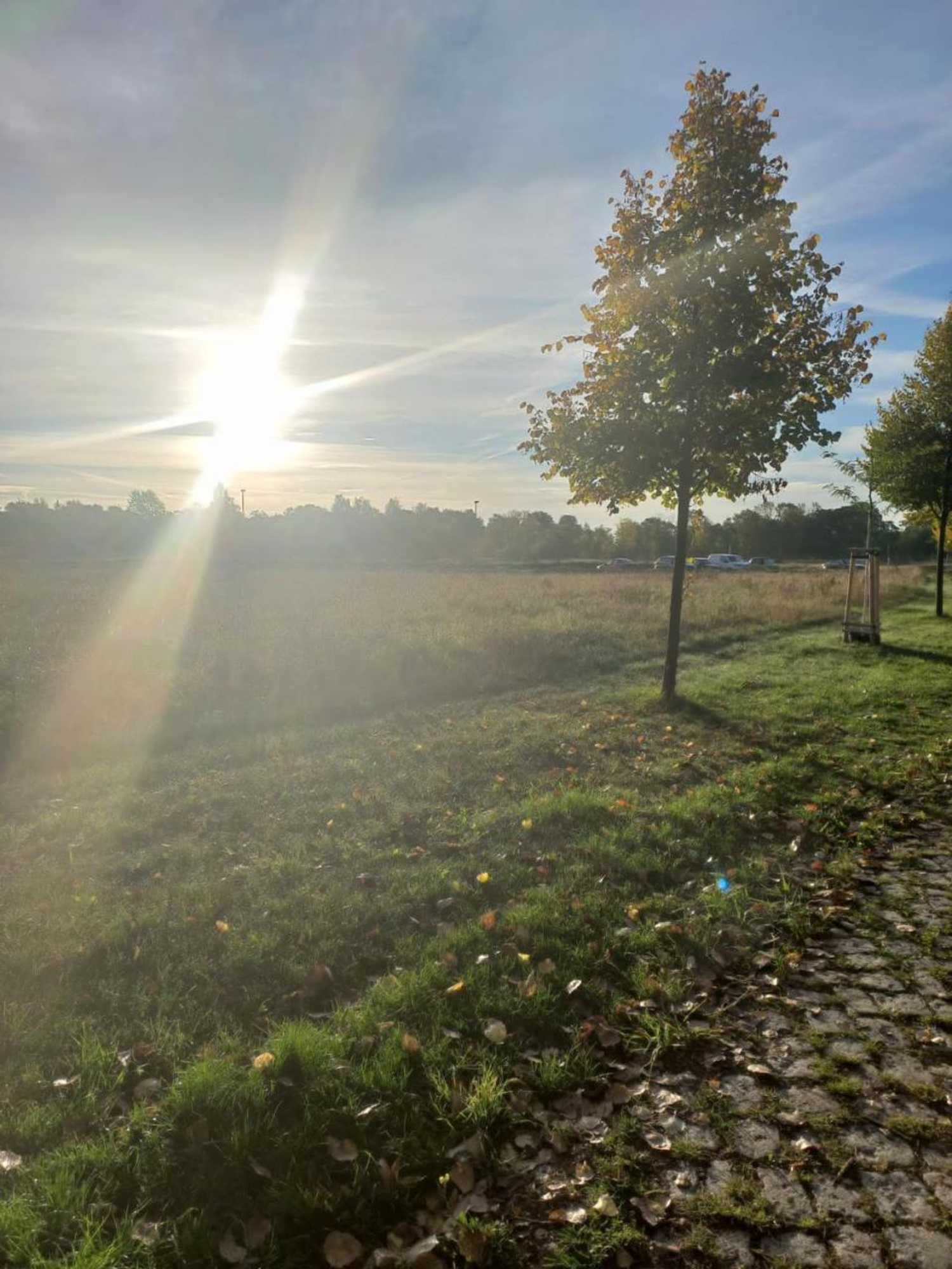 Gift card for Pension Am Rosental Merseburg