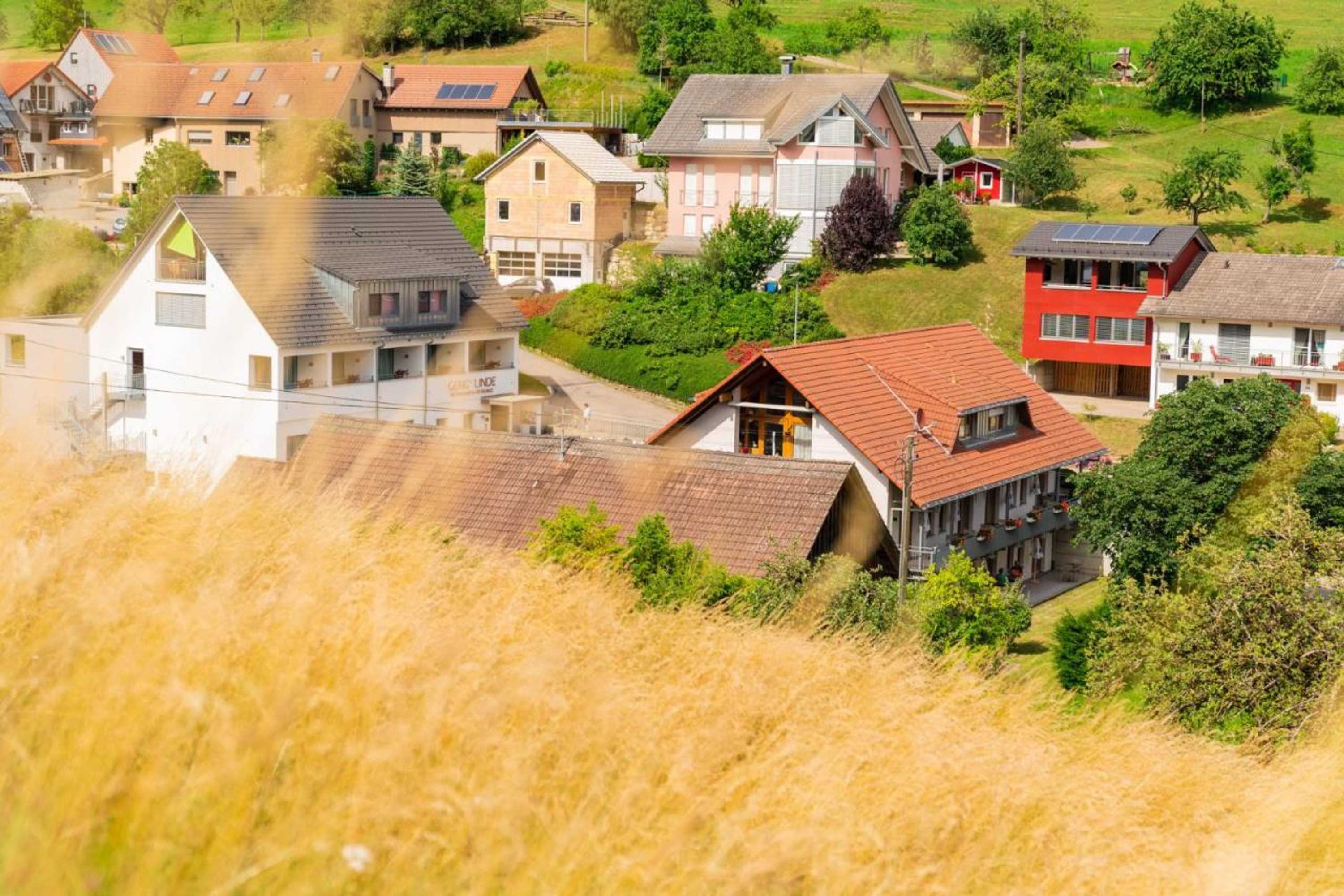 Gift card for Gengs Linde