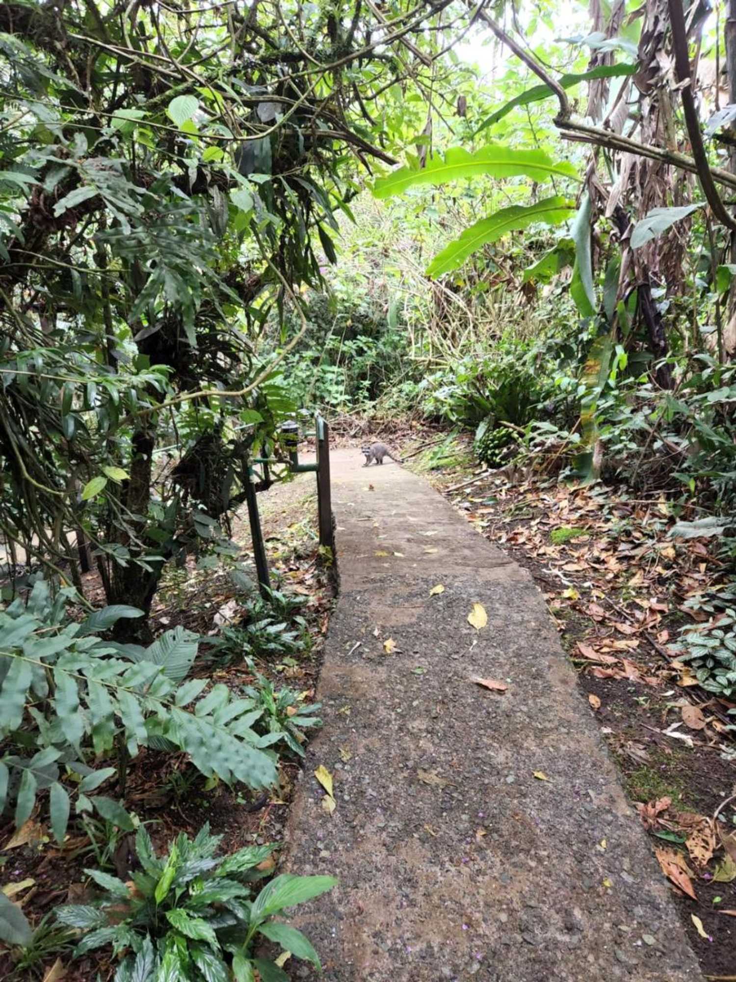 Gift card for Cabañas el Bosque Gift card for Cabañas el Bosque