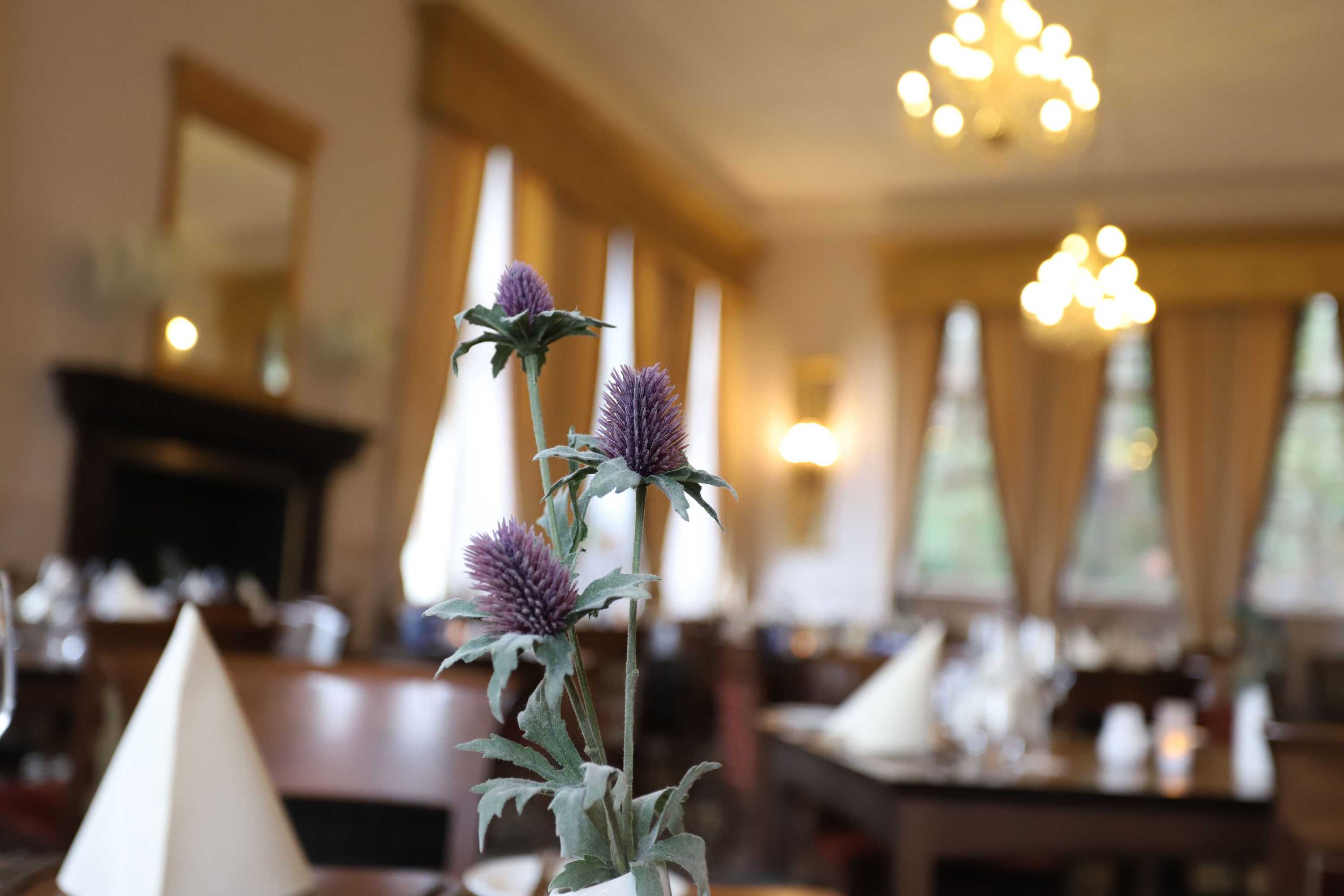 Gift card for Ben Wyvis Hotel