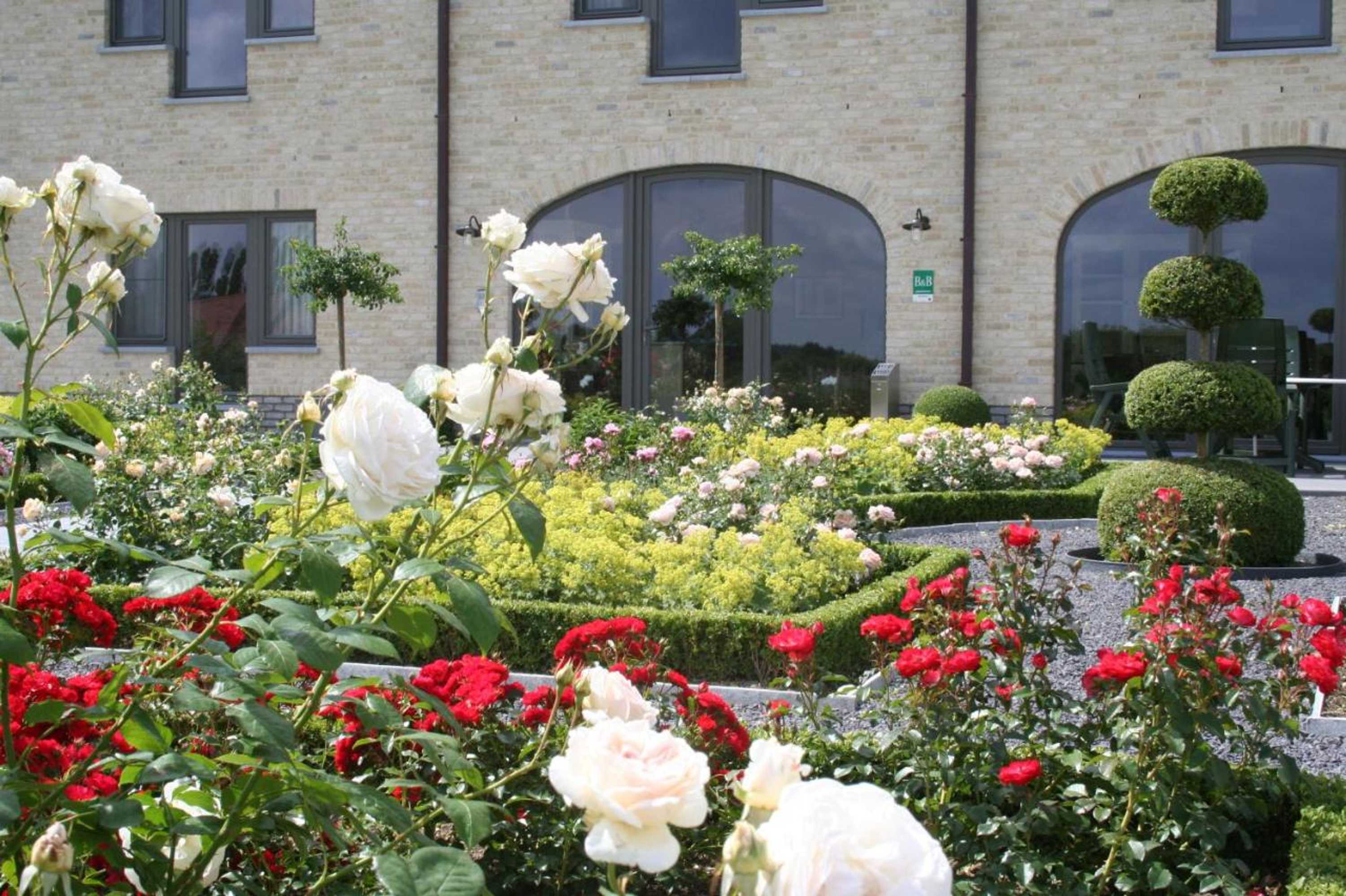 Gift card for B&b La Vie En Roses