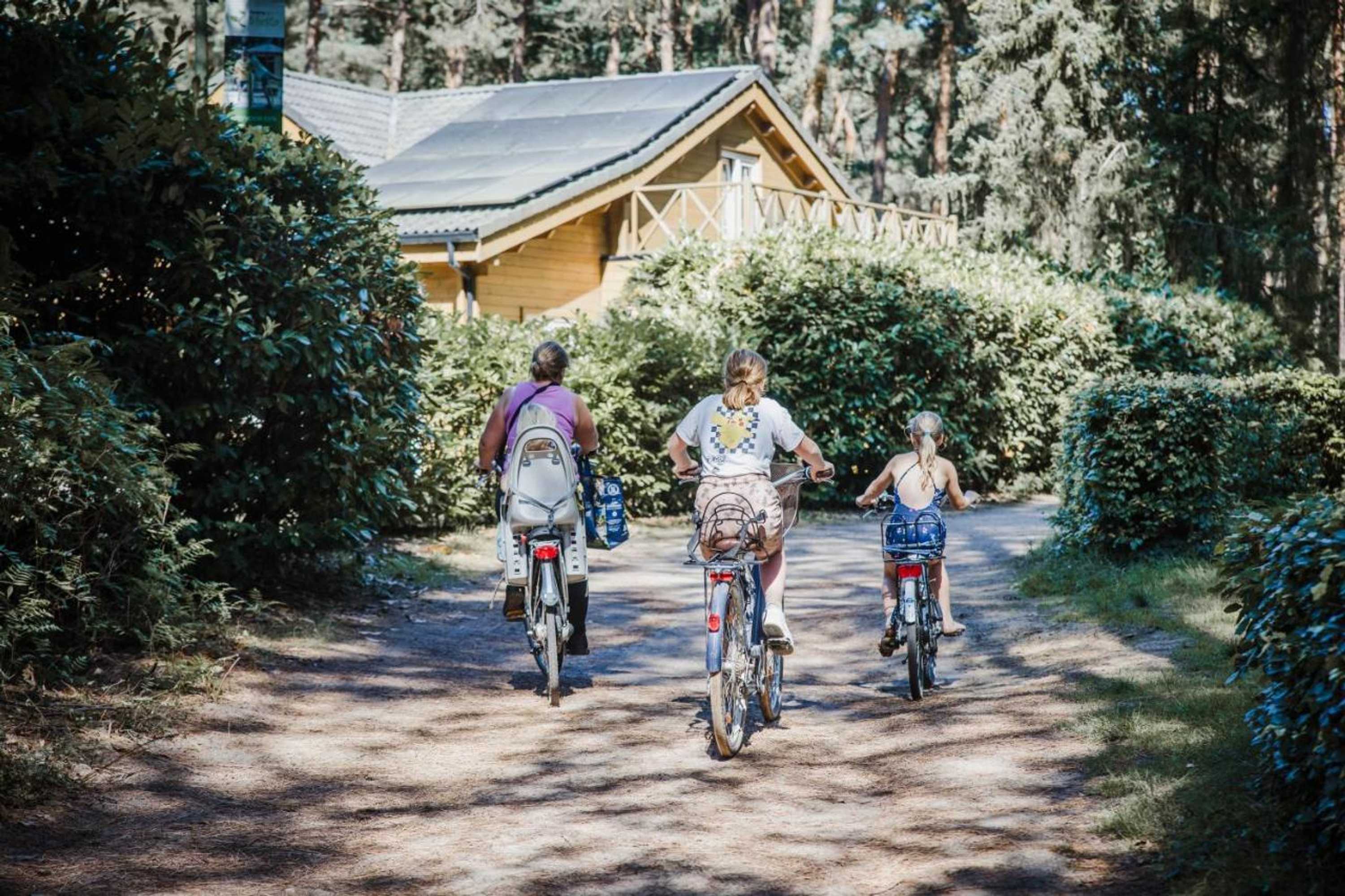 Gift card for Camping Siesta