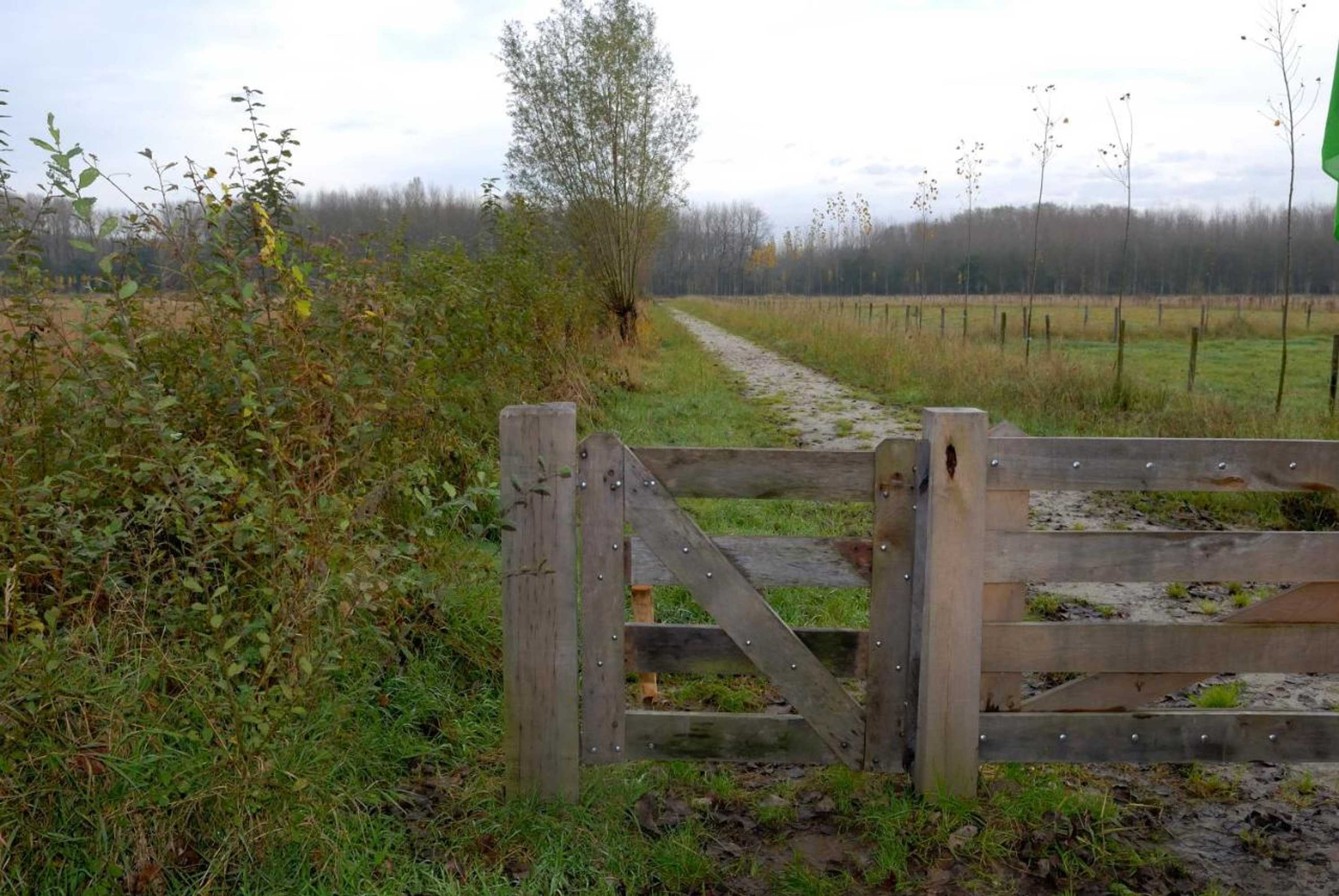 Gift card for Weibos Bed & Breakfast