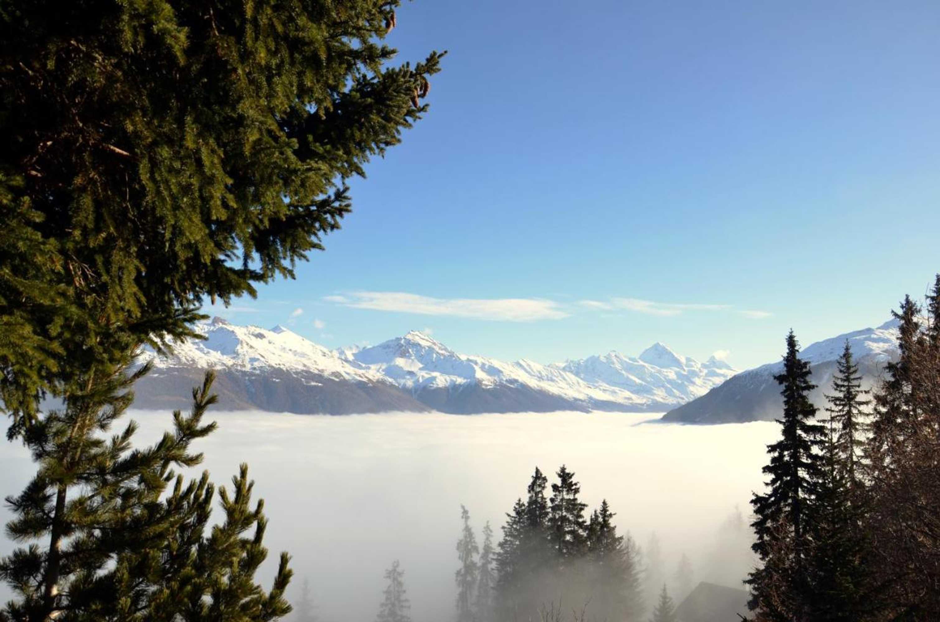 Gift card for Hotel La Cambuse Gift card for Hotel La Cambuse