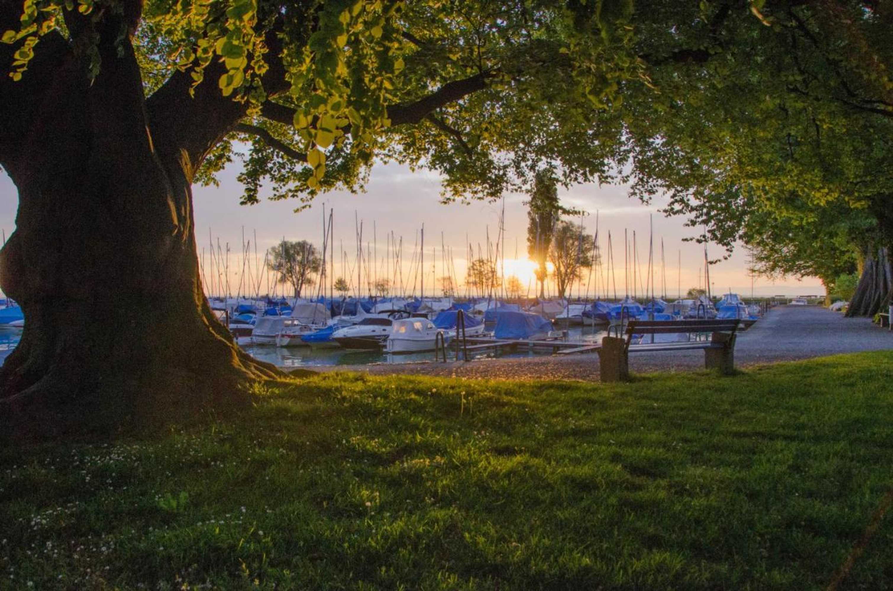 Gift card for Lakelodge Romanshorn