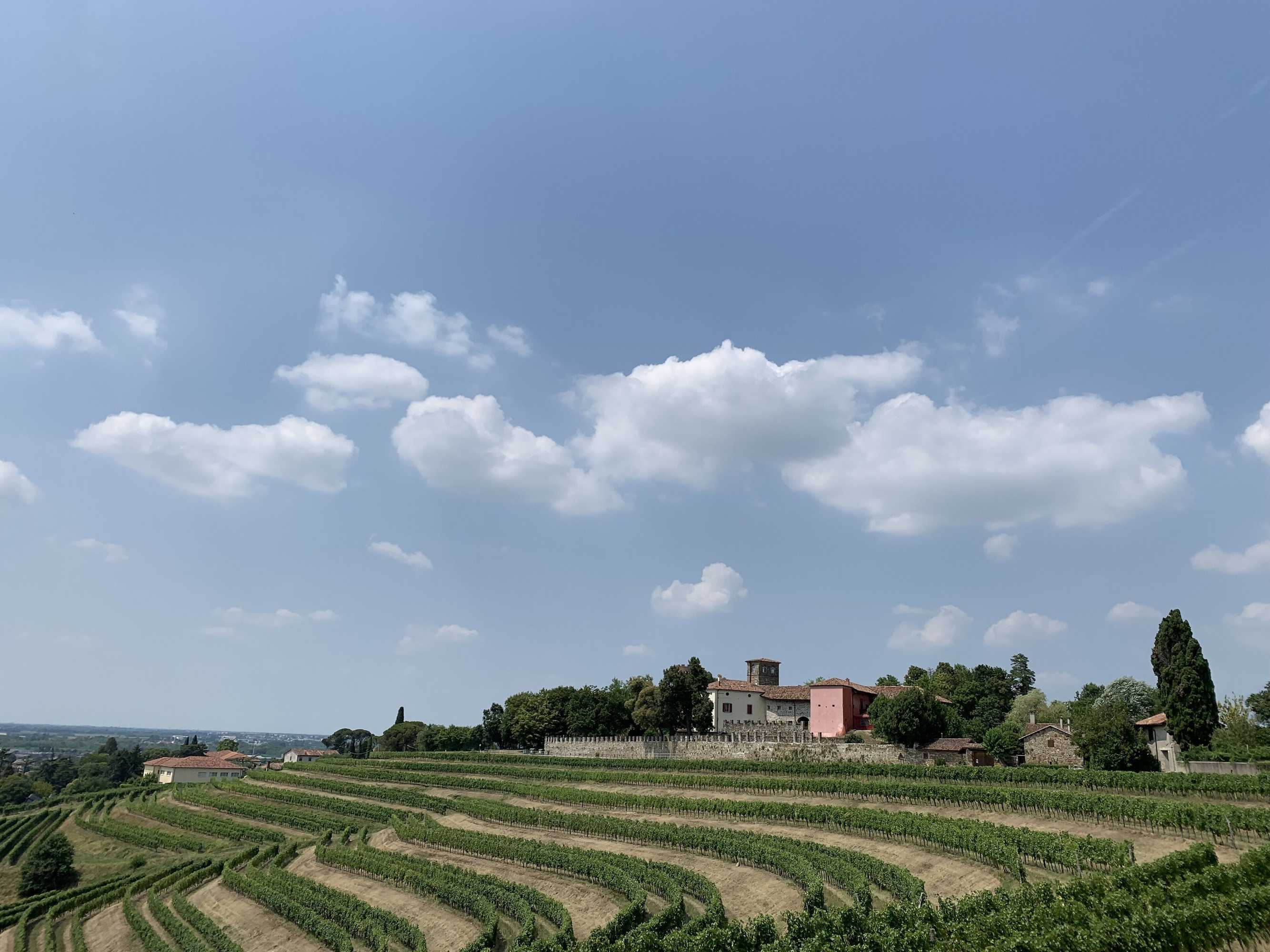 Gift card for Castello di Buttrio Gift card for Castello di Buttrio