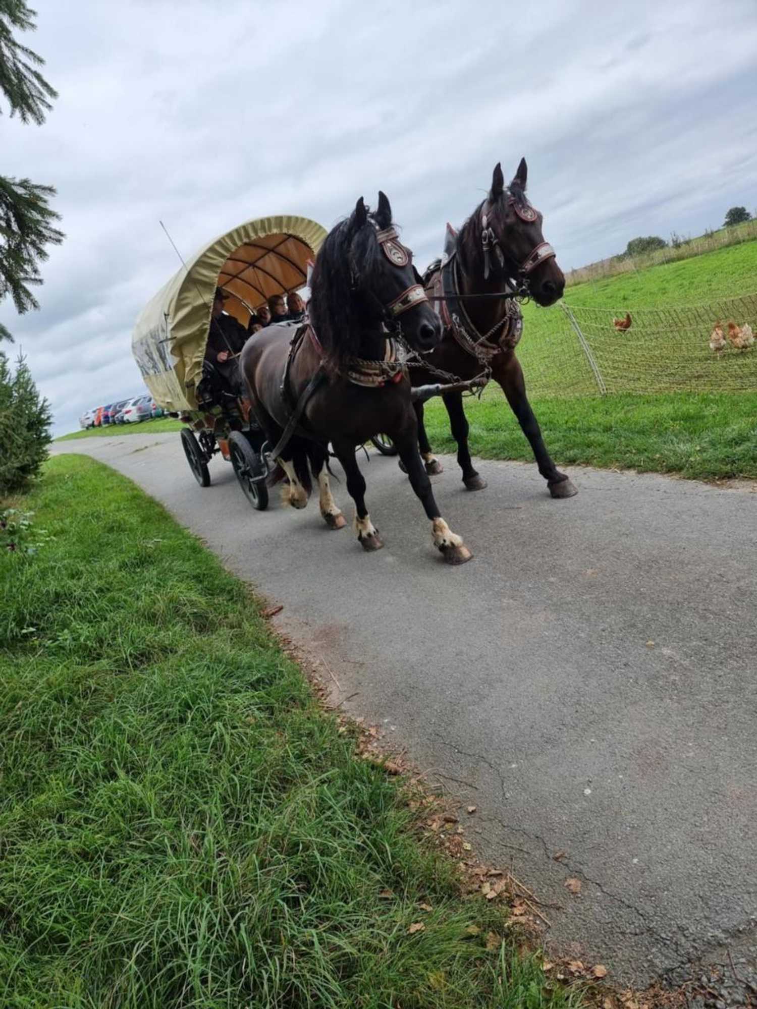 Gift card for Regenbogenhof Rudelswalde