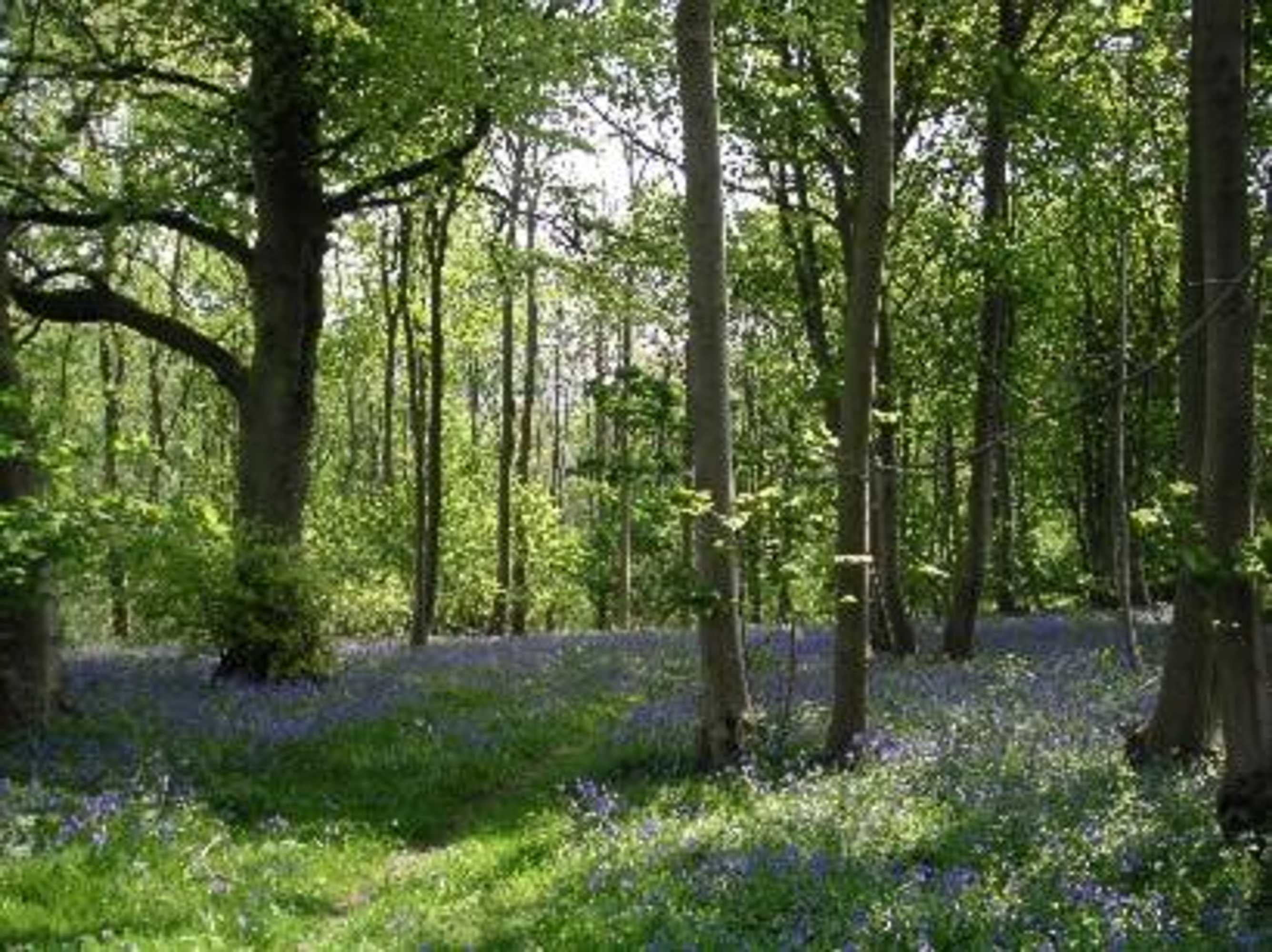 Gift card for Cools Farm B&b + Cottages