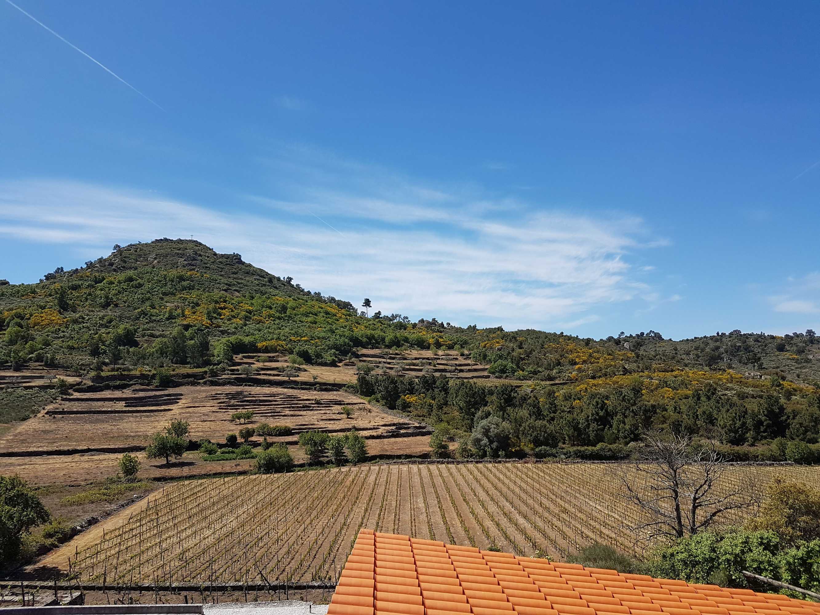 Gift card for A Casa do Professor