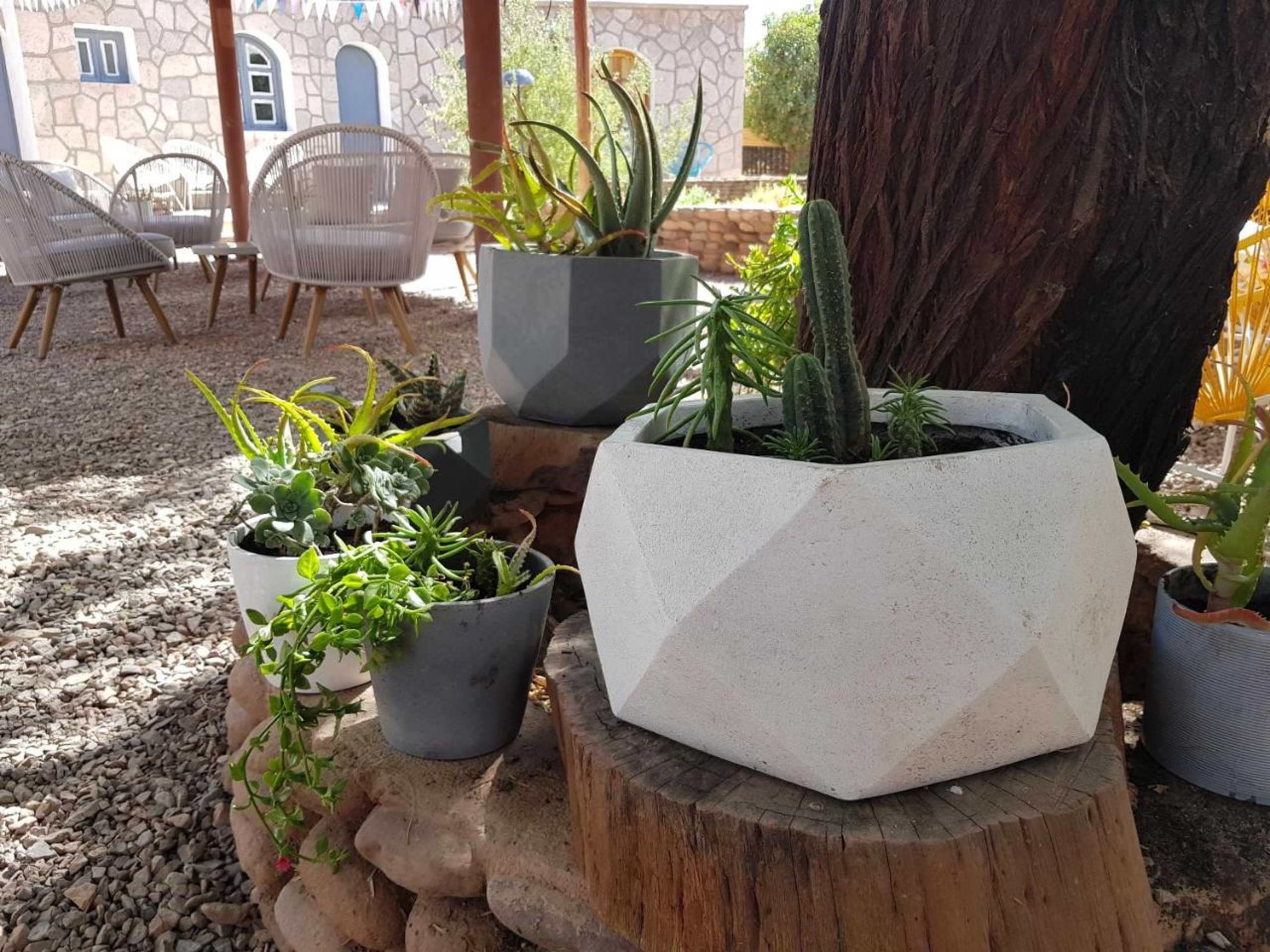 Gift card for Hotel Jardin Atacama Gift card for Hotel Jardin Atacama