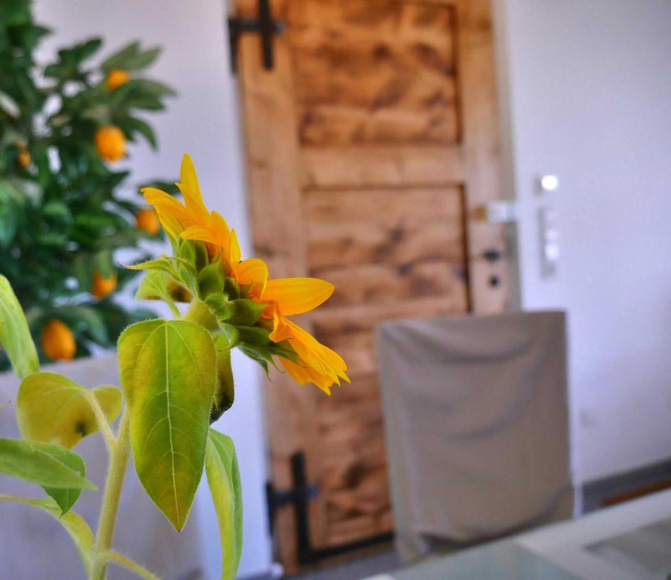 Gift card for Gesindehaus Charis