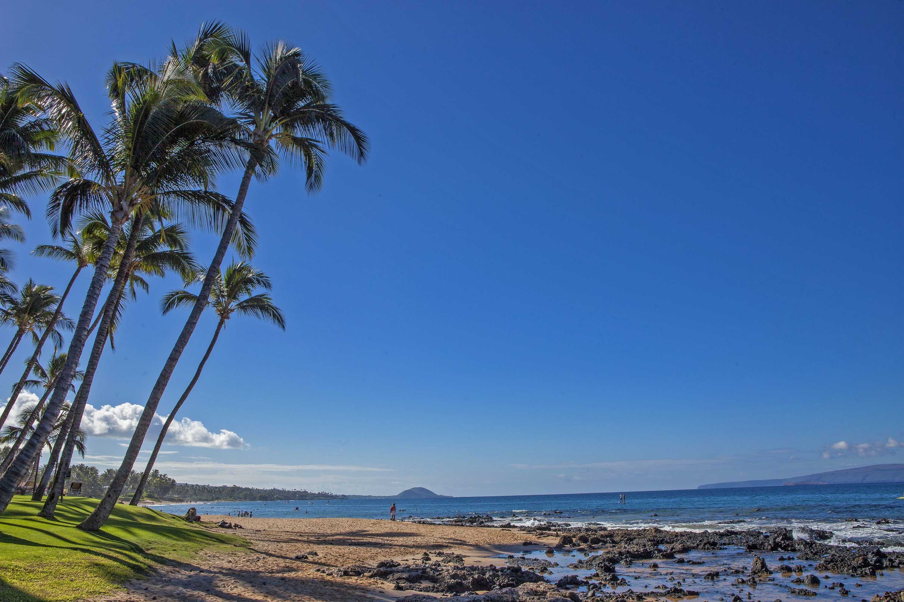 Gift card for Kihei Surfside - Maui Condo & Home Gift card for Kihei Surfside - Maui Condo & Home