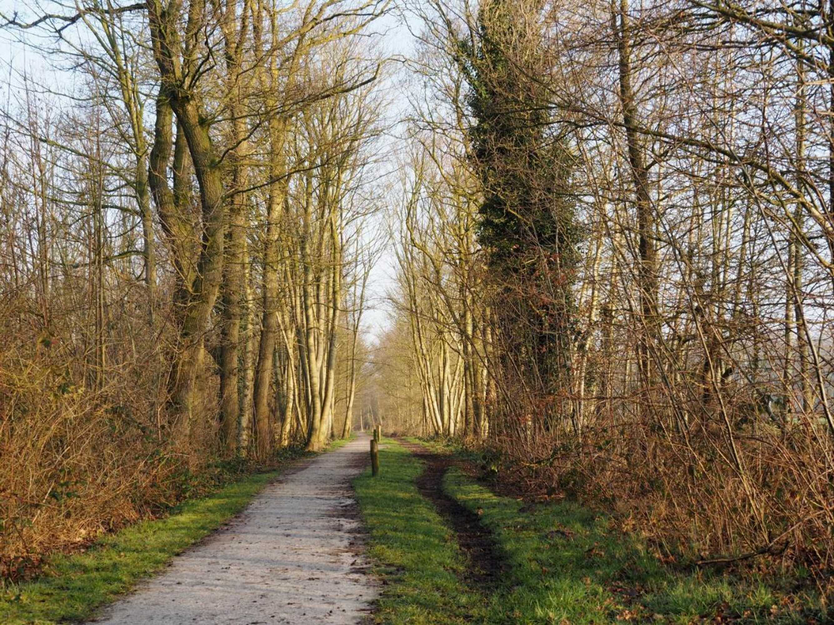 Gift card for Bed & Brochje Burgum