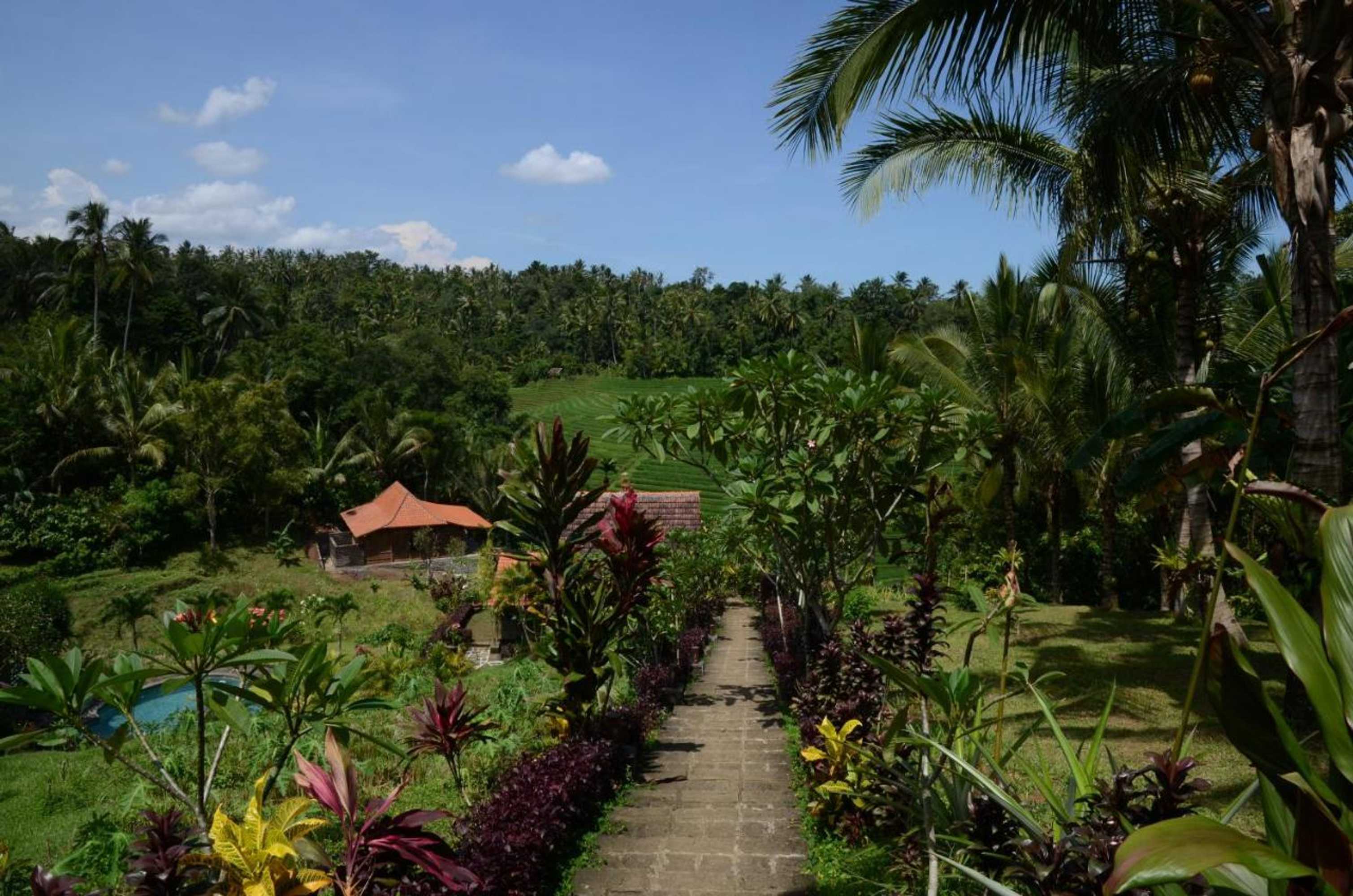 Gift card for Bali Lush